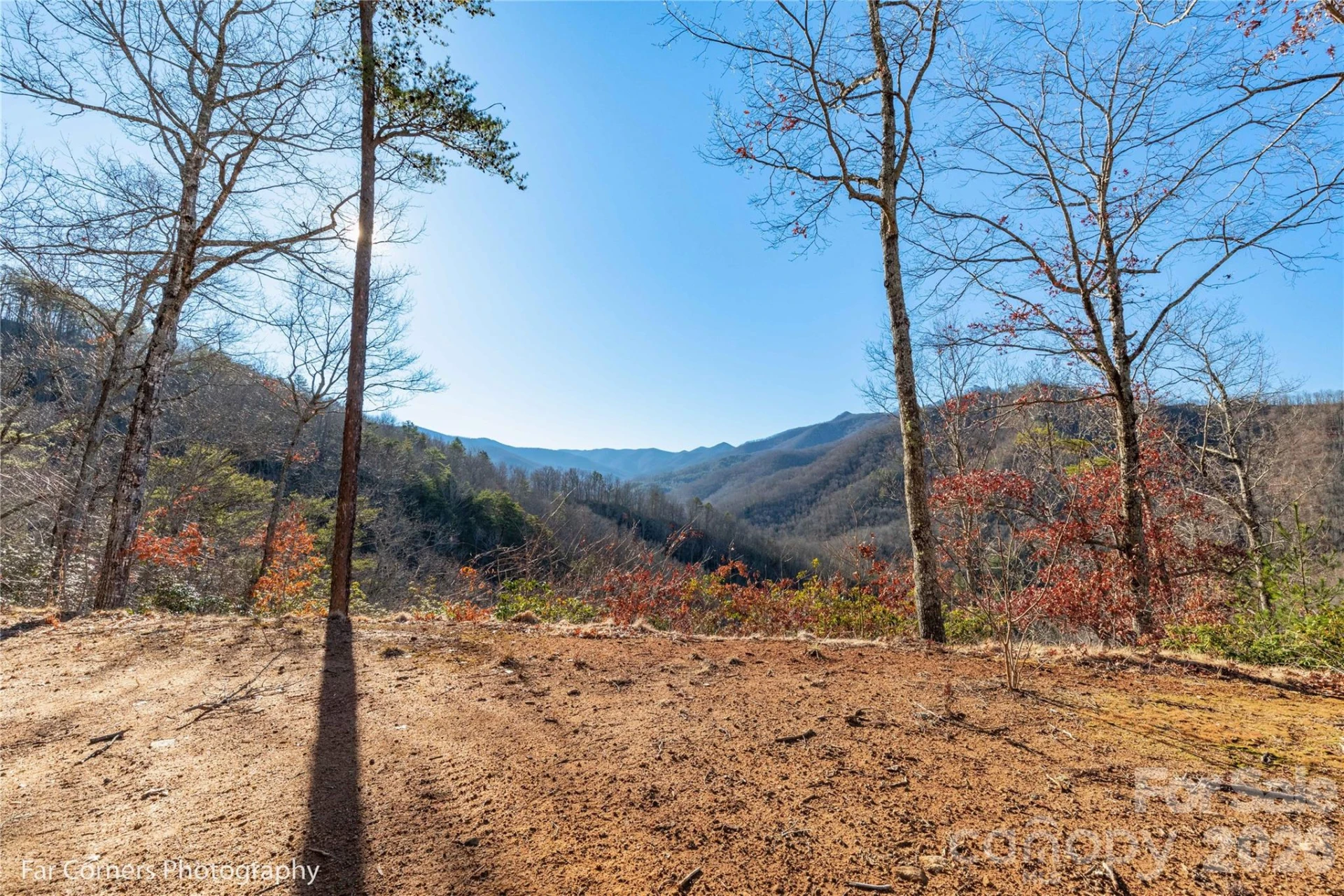 0000 Sourwood Road - Photo 11