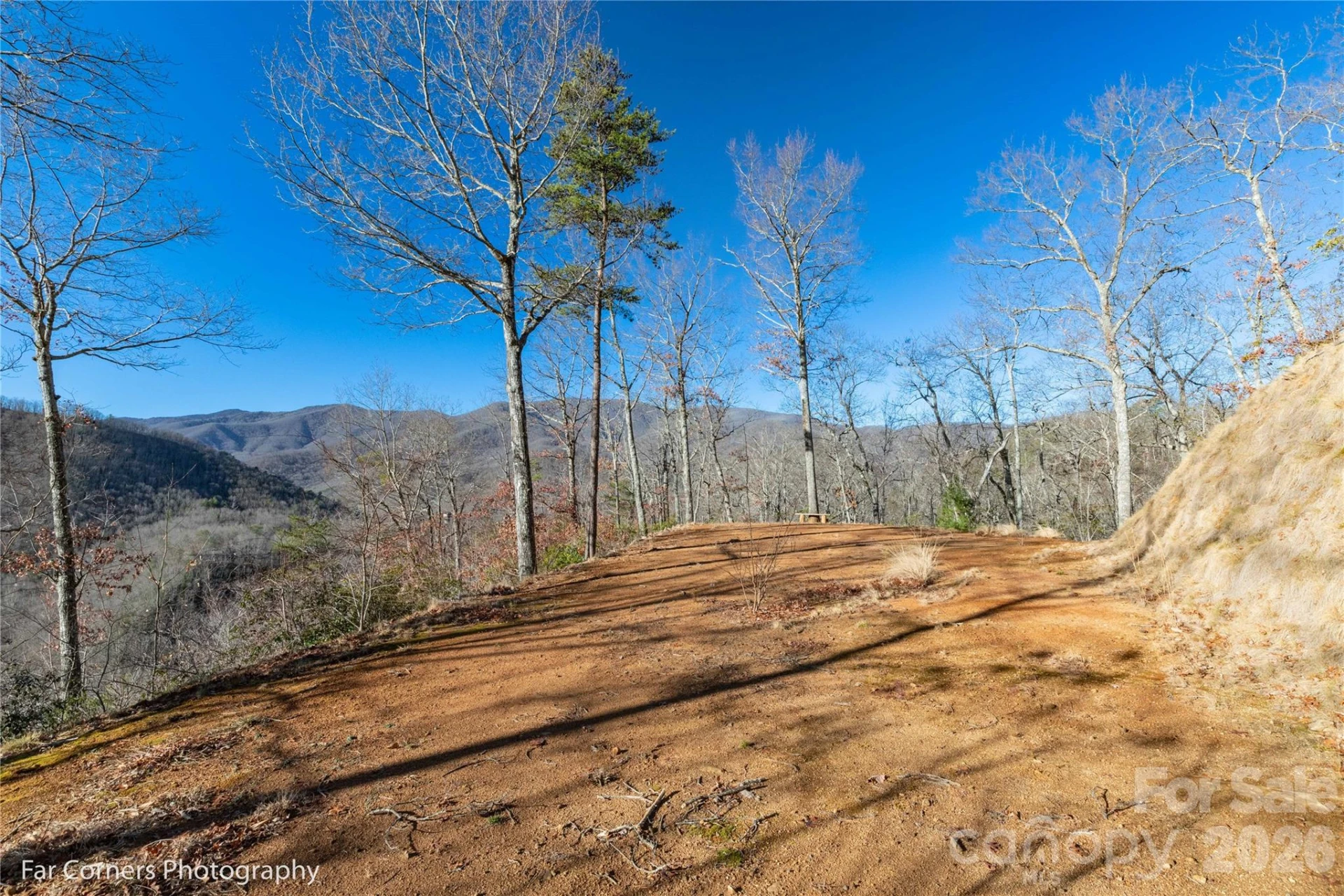 0000 Sourwood Road - Photo 16