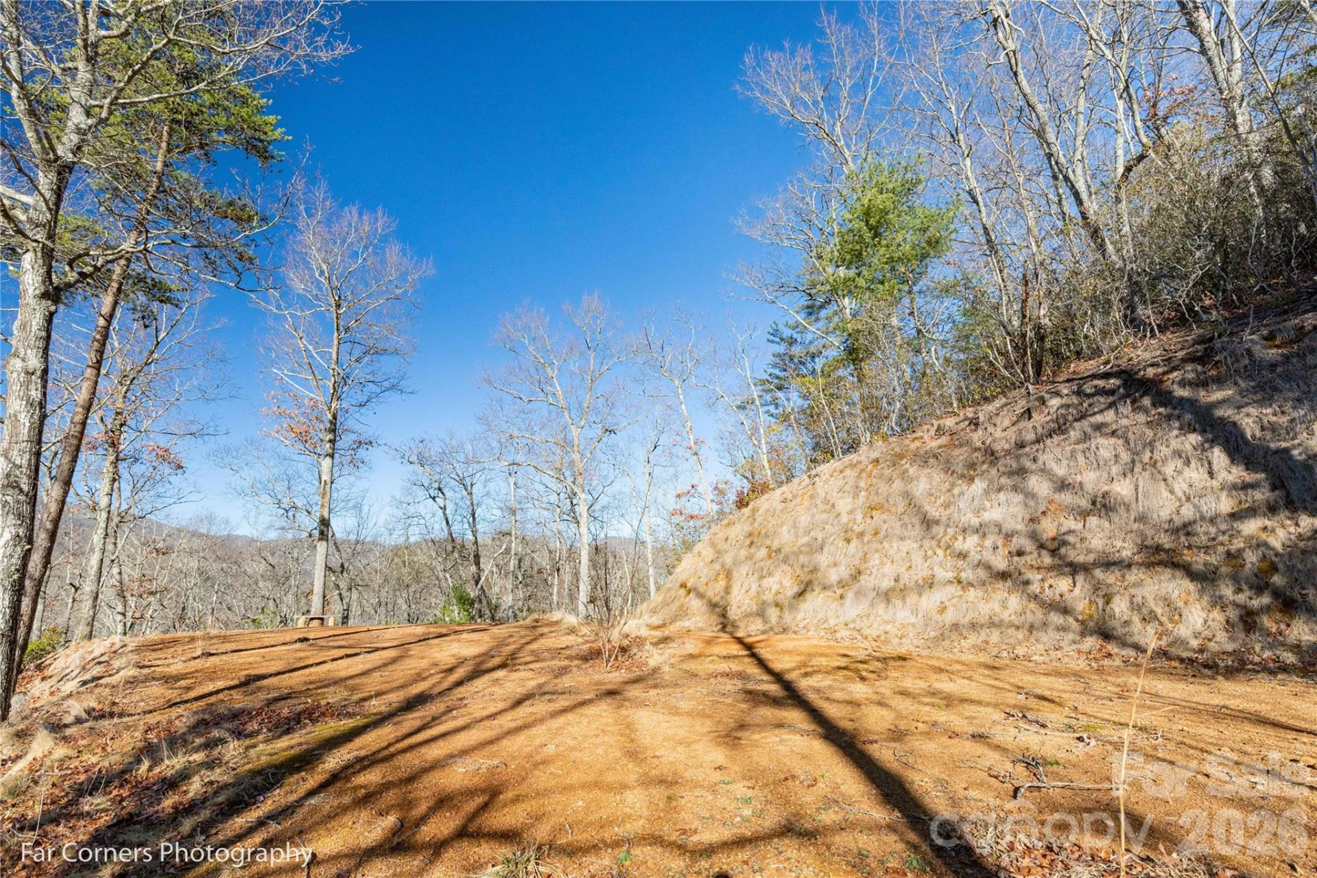 0000 Sourwood Road - Photo 17