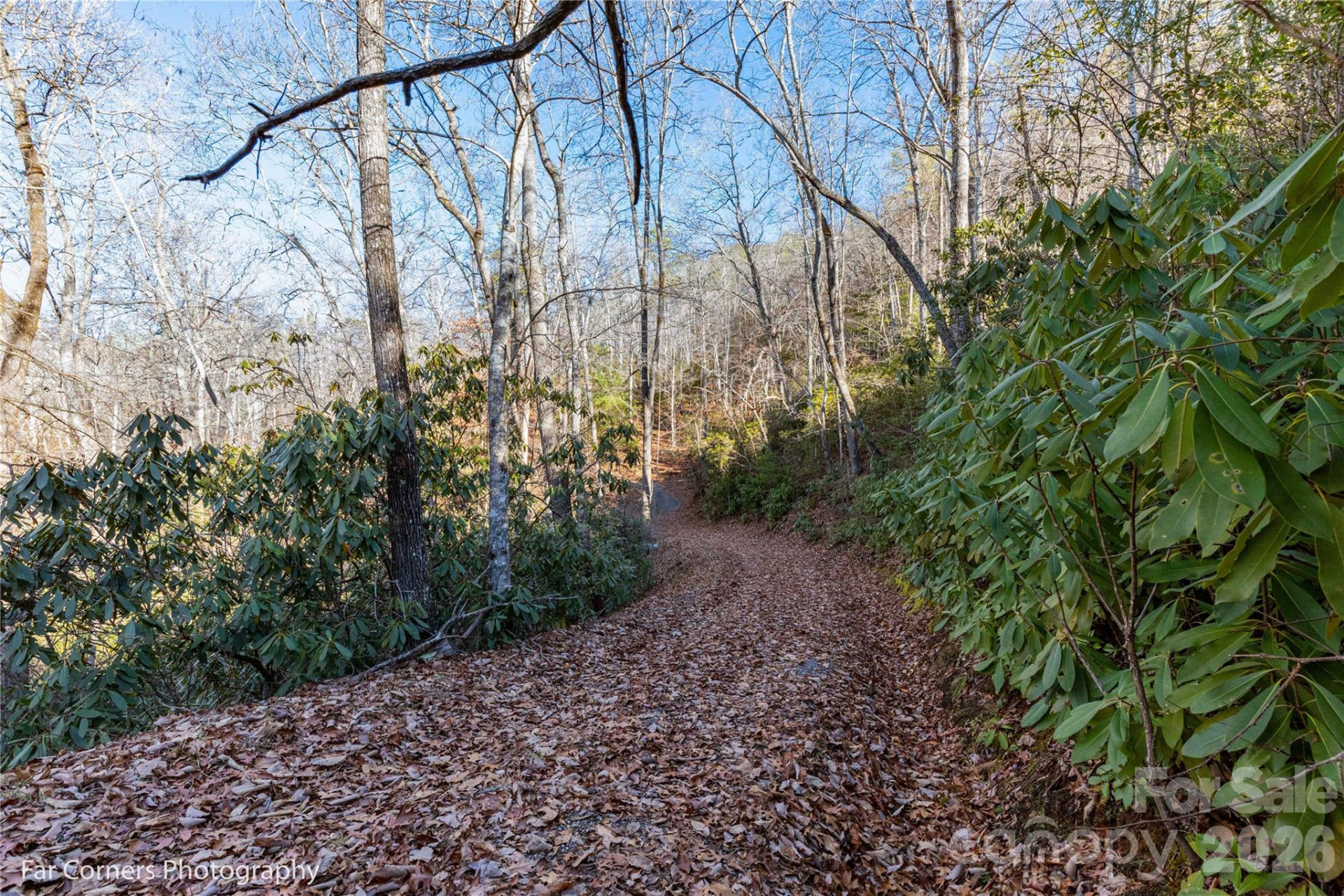 0000 Sourwood Road - Photo 20