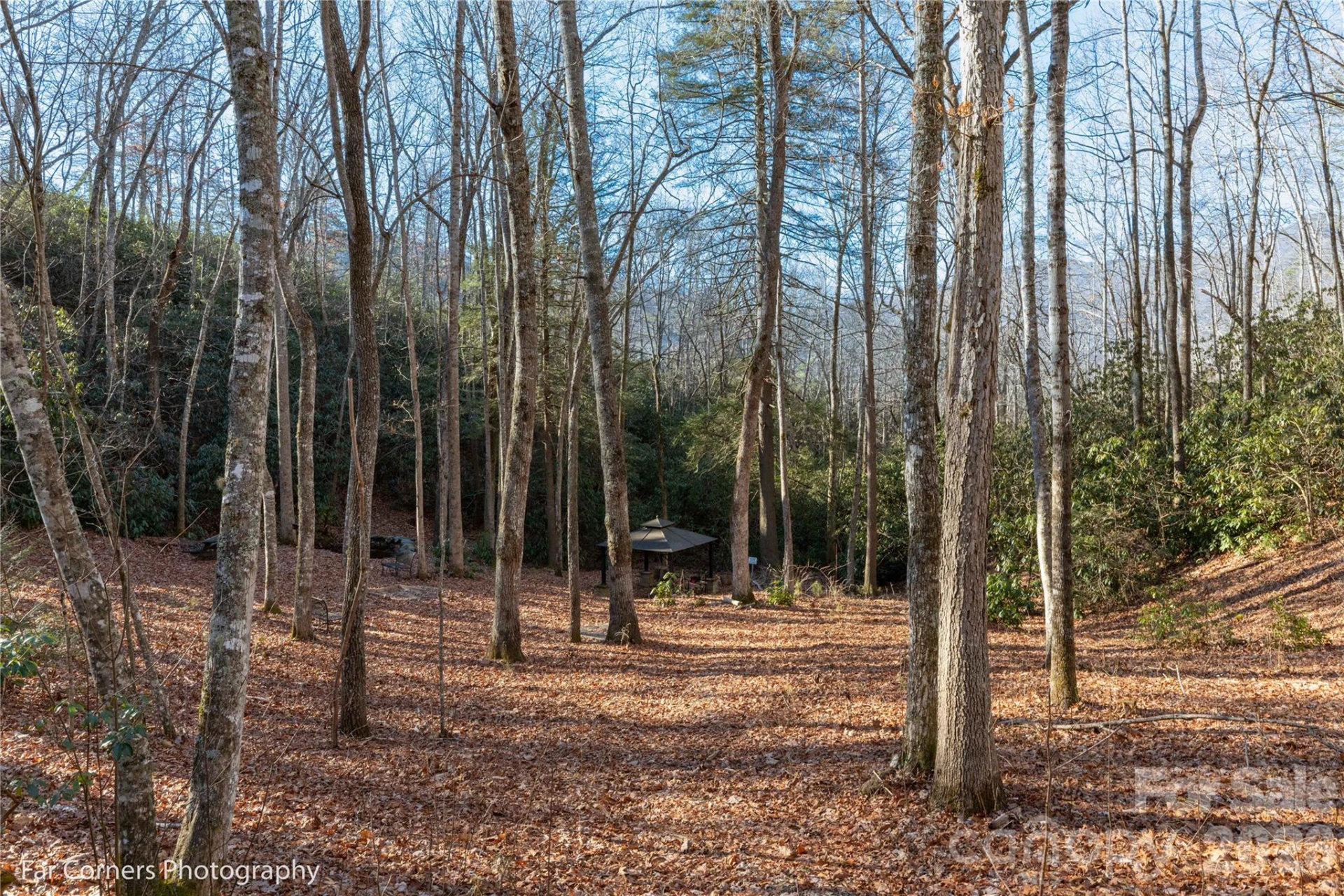 0000 Sourwood Road - Photo 24