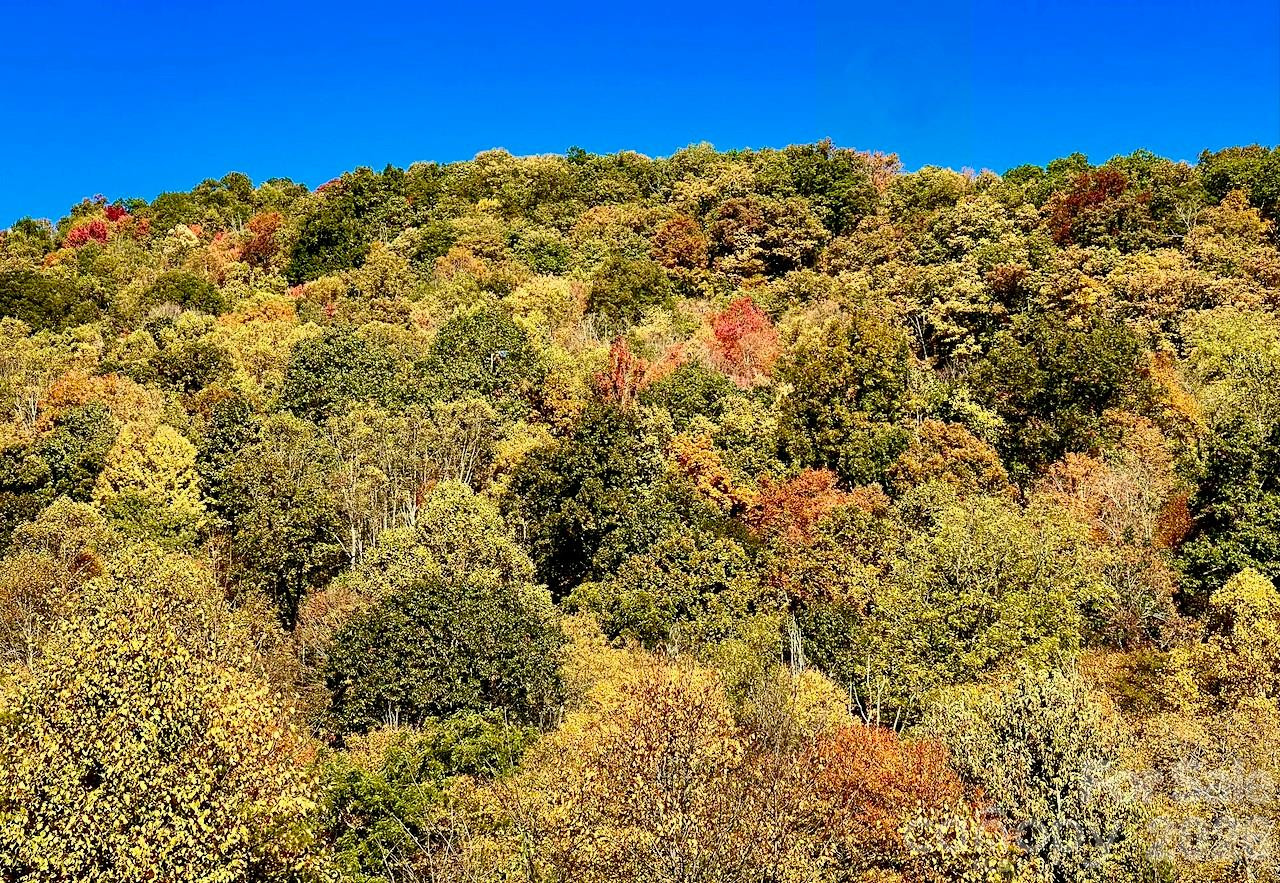 0000 Sourwood Road - Photo 34