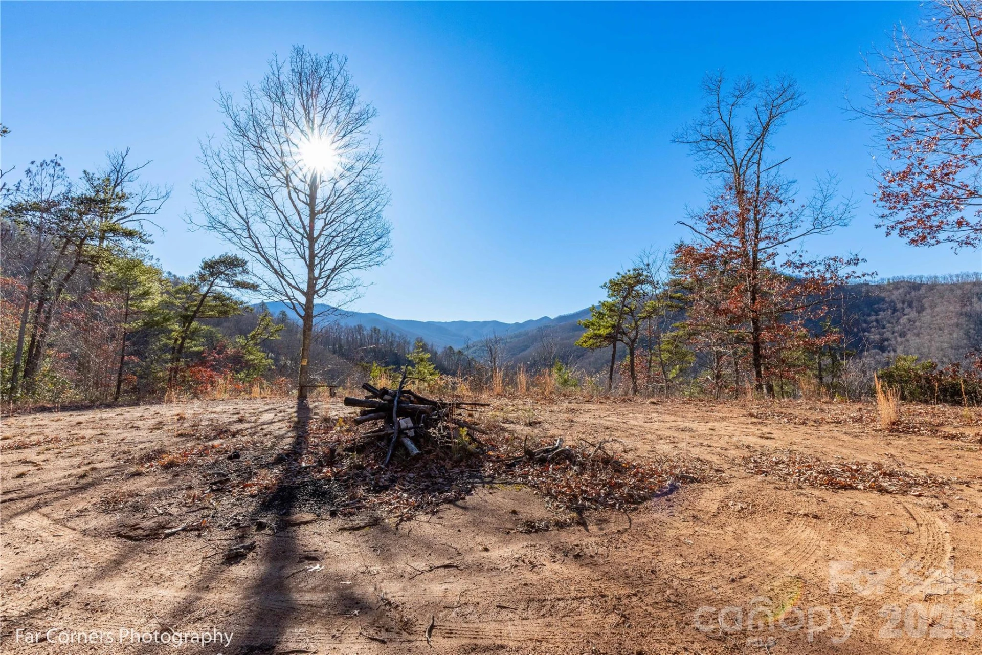 0000 Sourwood Road - Photo 7