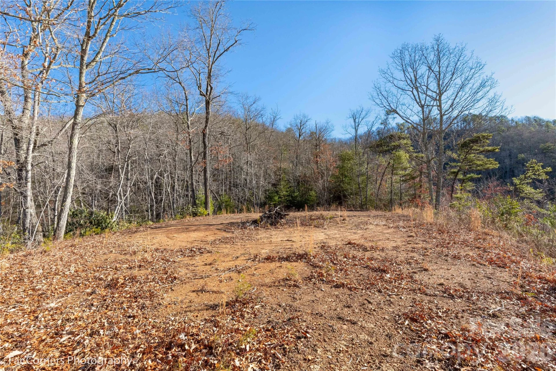 0000 Sourwood Road - Photo 10