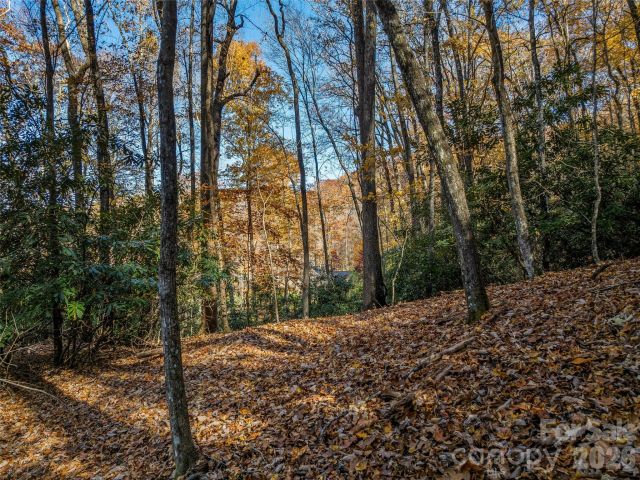 241 Skye Drive, Pisgah Forest, NC, 28768