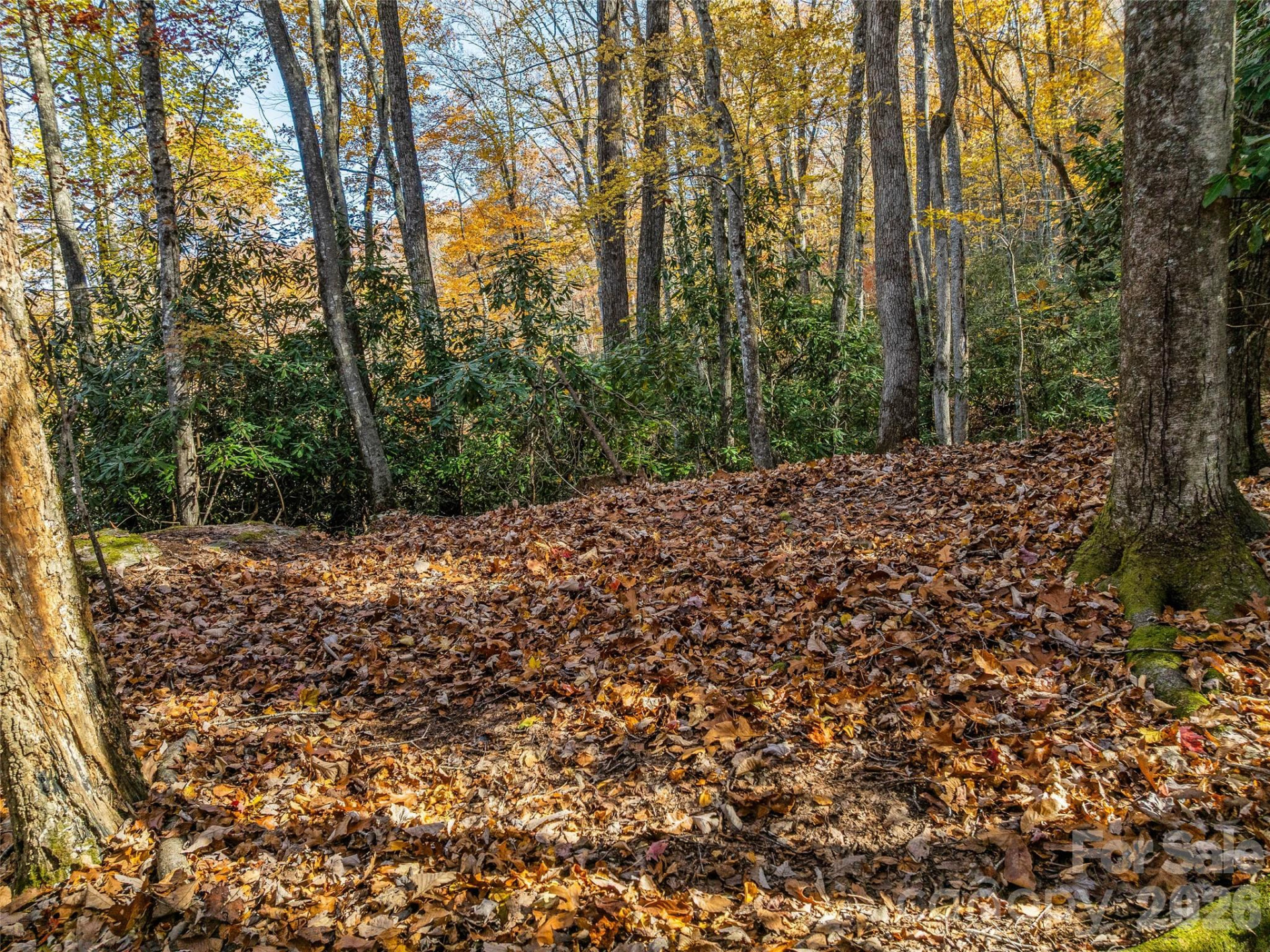 241 Skye Drive - Photo 11