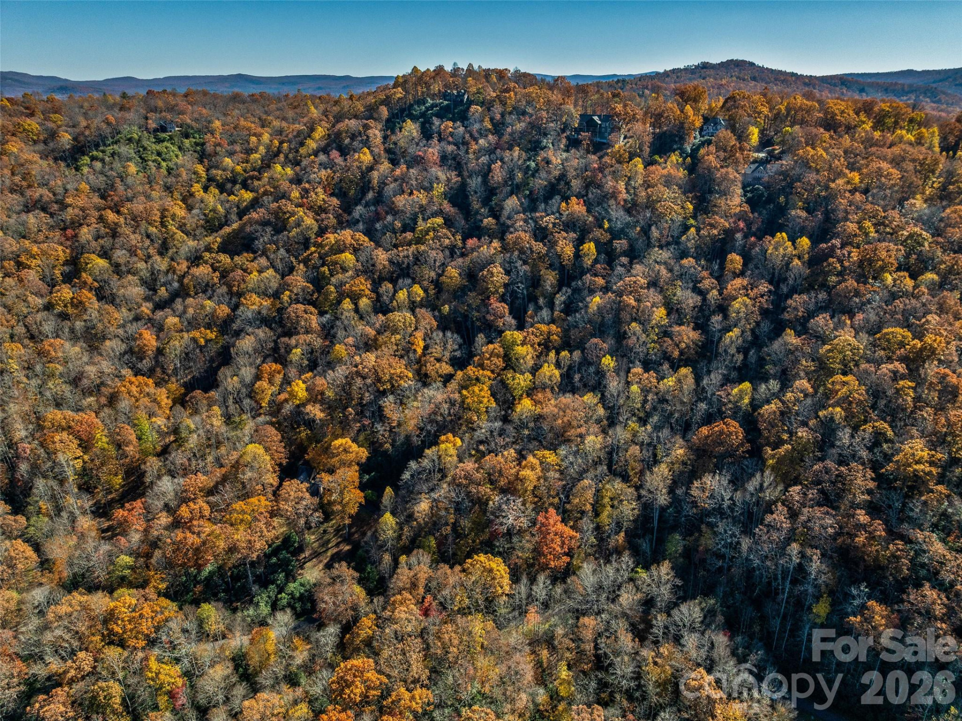 241 Skye Drive - Photo 12