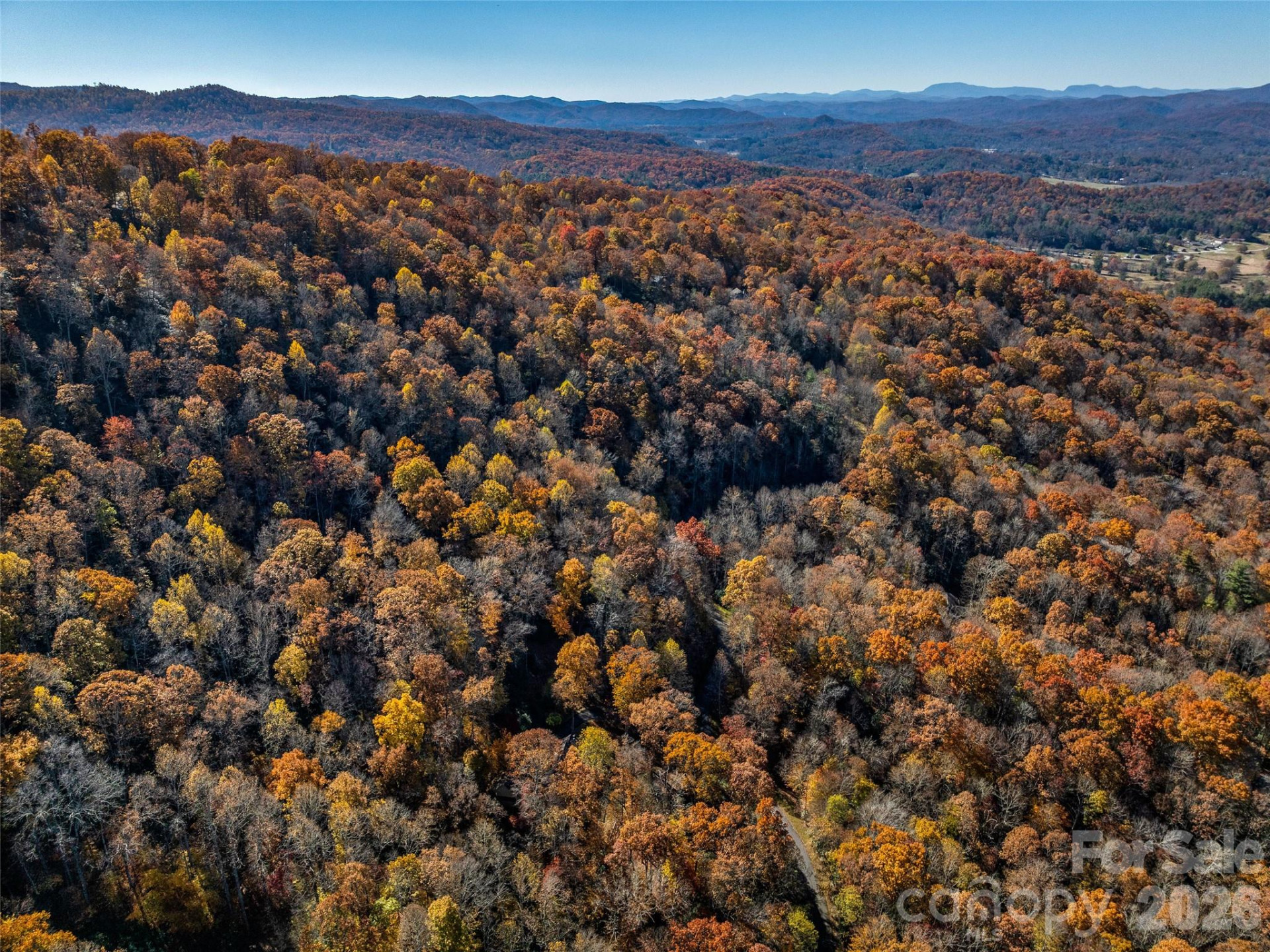 241 Skye Drive - Photo 15