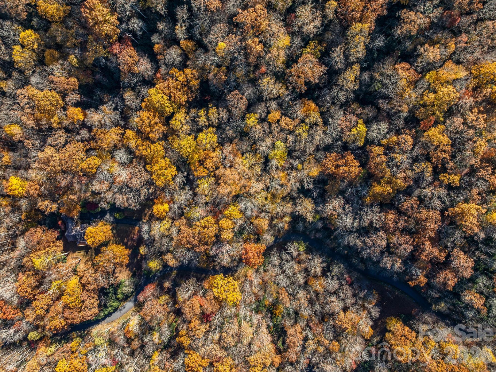 241 Skye Drive - Photo 17