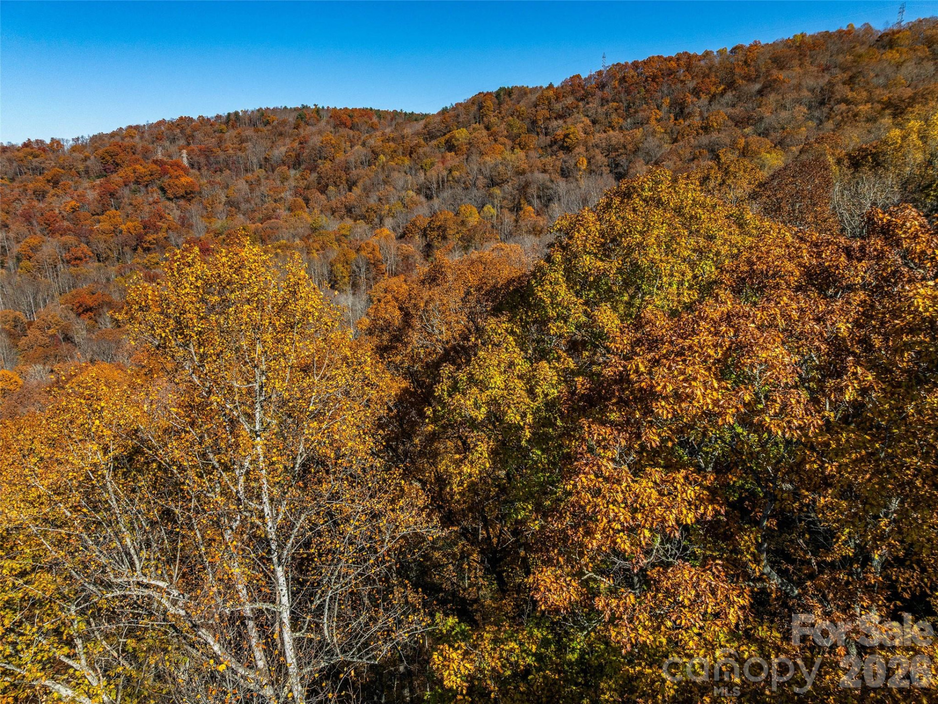 241 Skye Drive - Photo 19