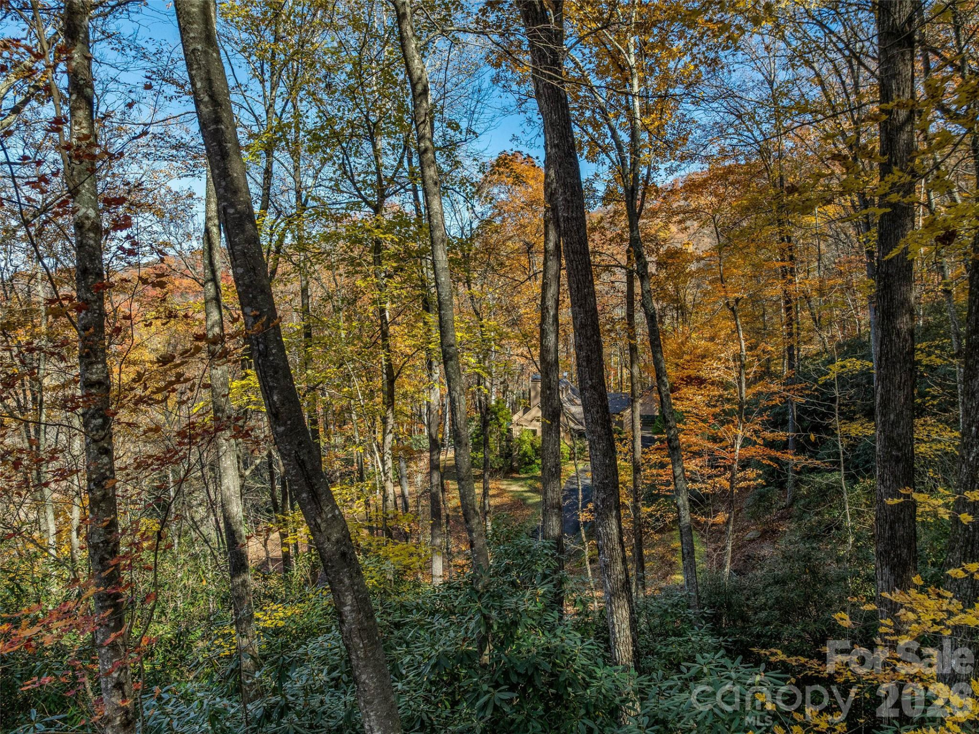 241 Skye Drive - Photo 22