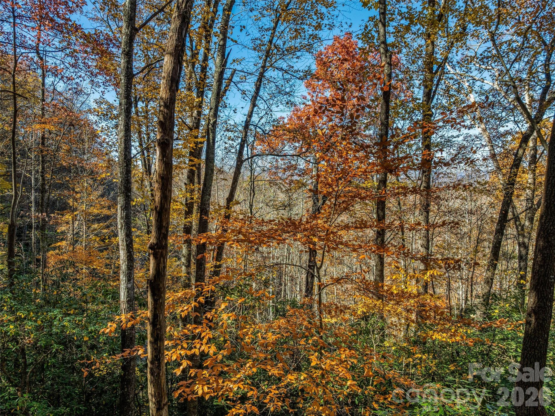 241 Skye Drive - Photo 23