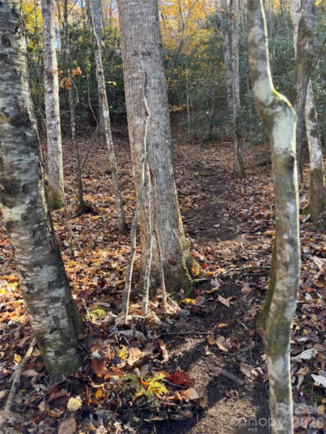 241 Skye Drive - Photo 24