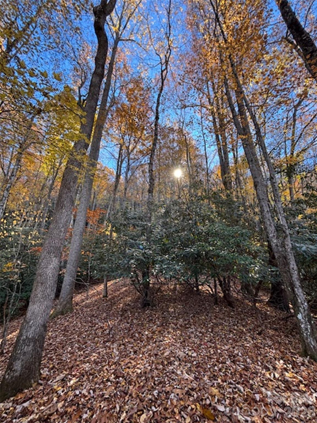 241 Skye Drive - Photo 25