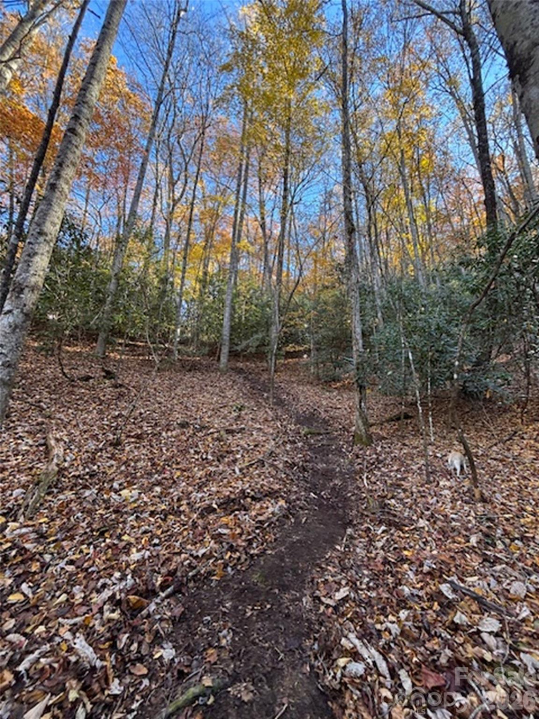 241 Skye Drive - Photo 26