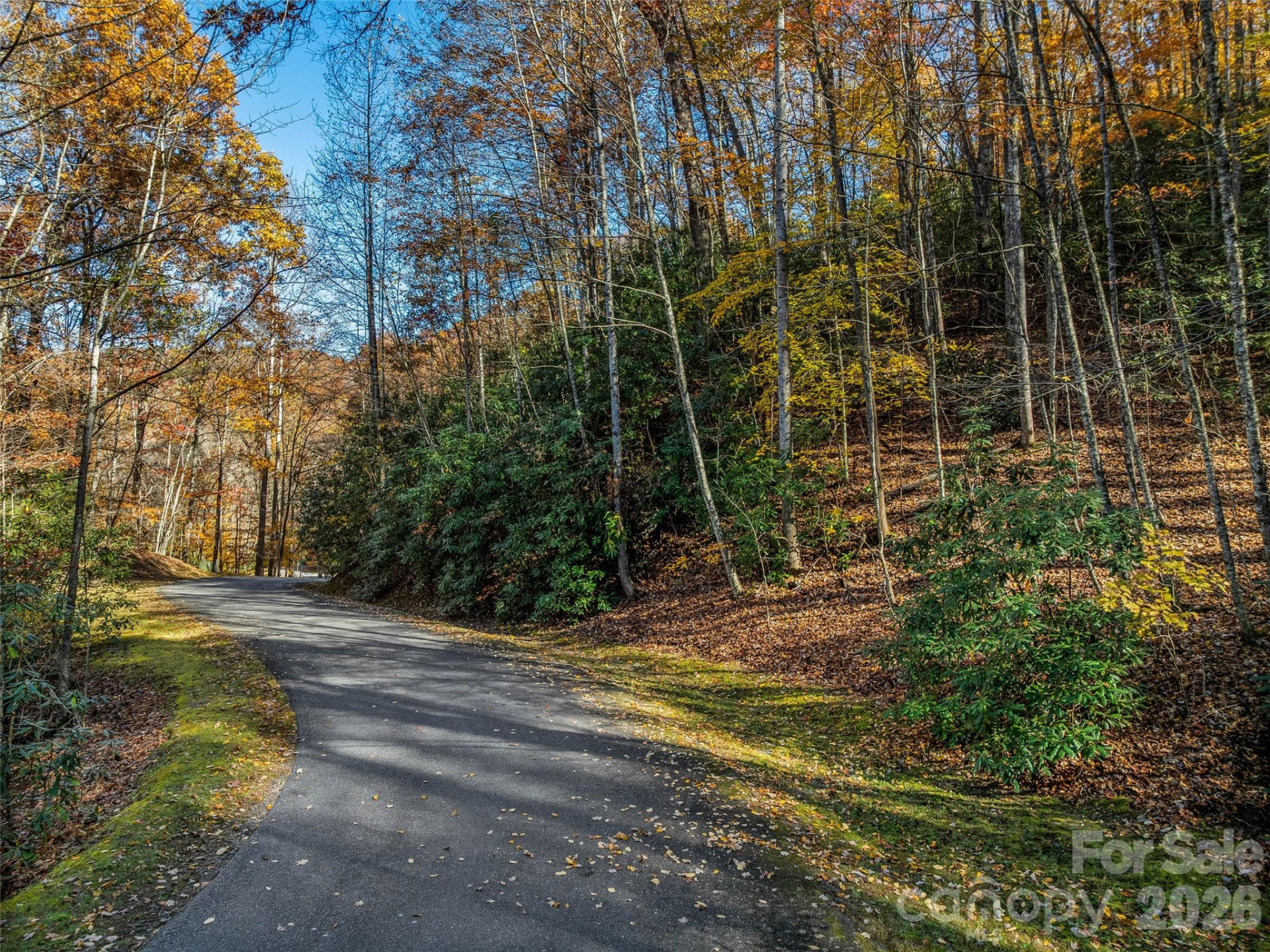 241 Skye Drive - Photo 6