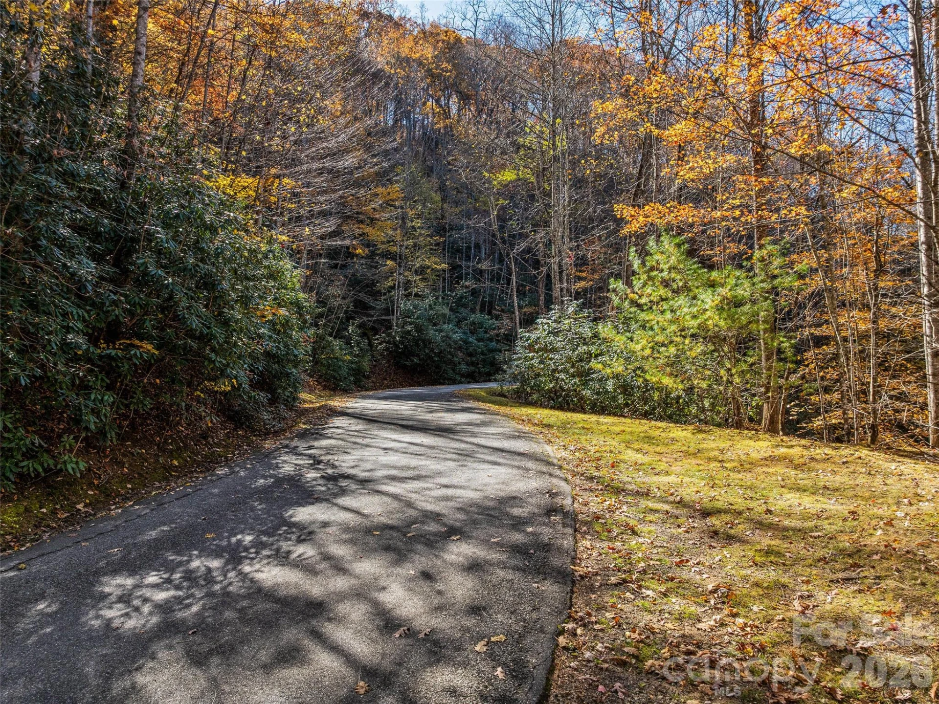241 Skye Drive - Photo 7