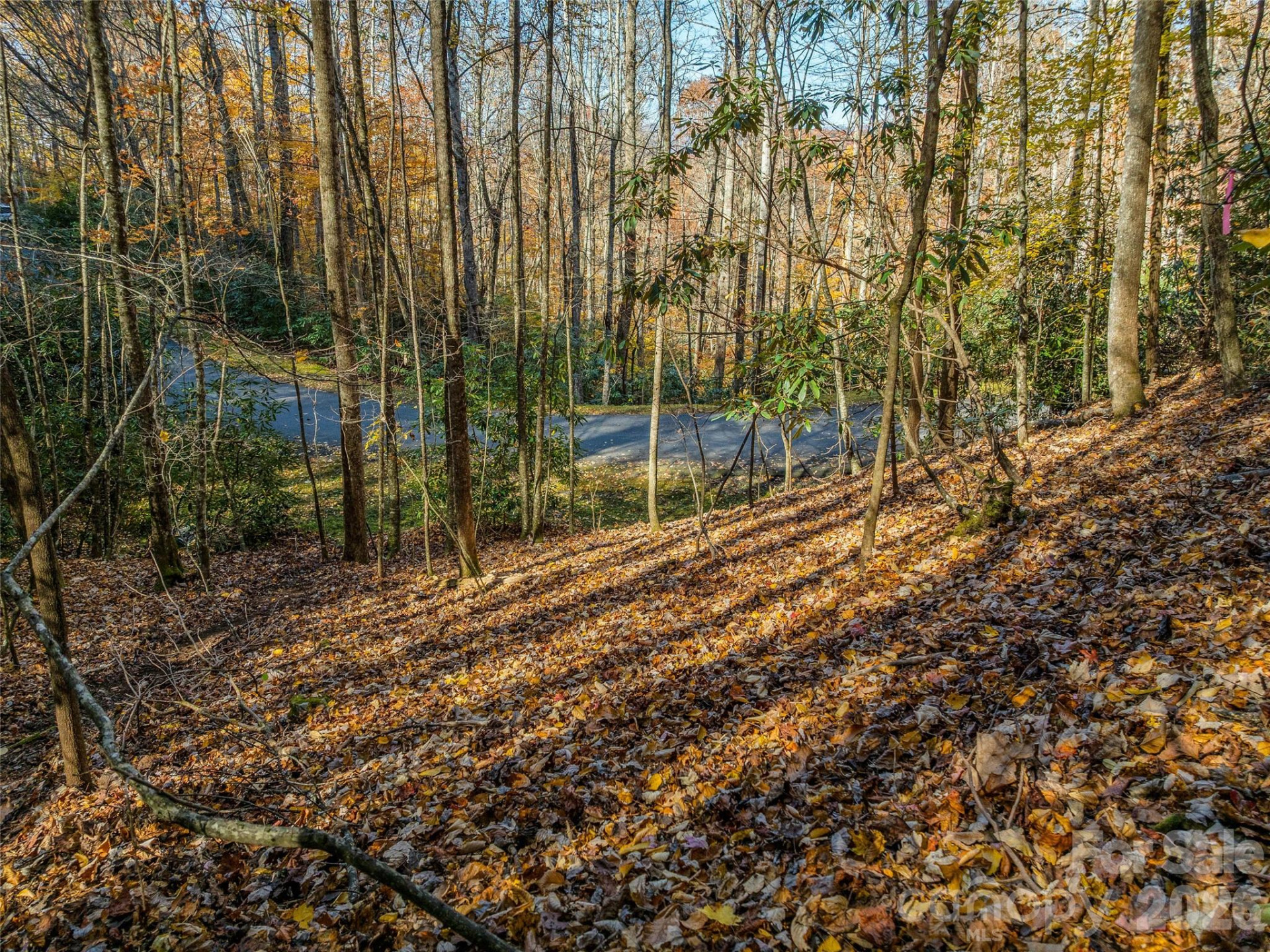 241 Skye Drive - Photo 8