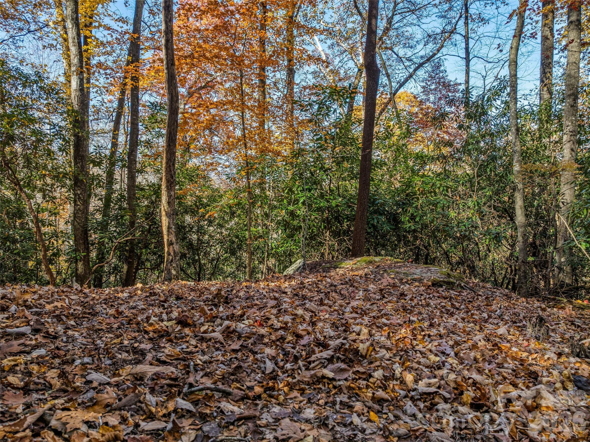 241 Skye Drive - Photo 9