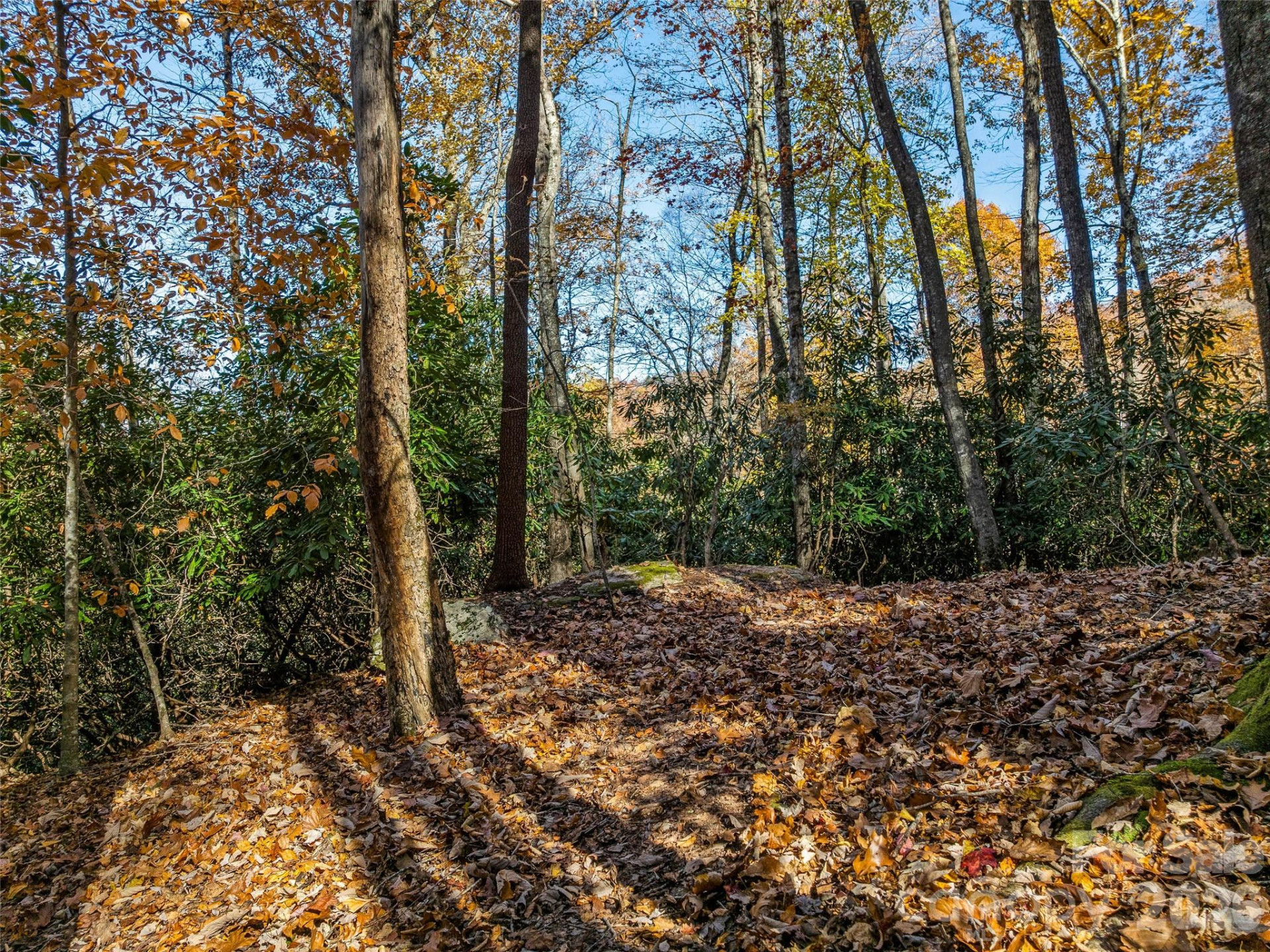 241 Skye Drive - Photo 10