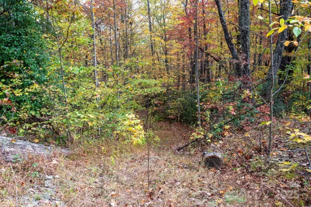 4B LOWER FLAT CREEK Road, Black Mountain, NC, 28711