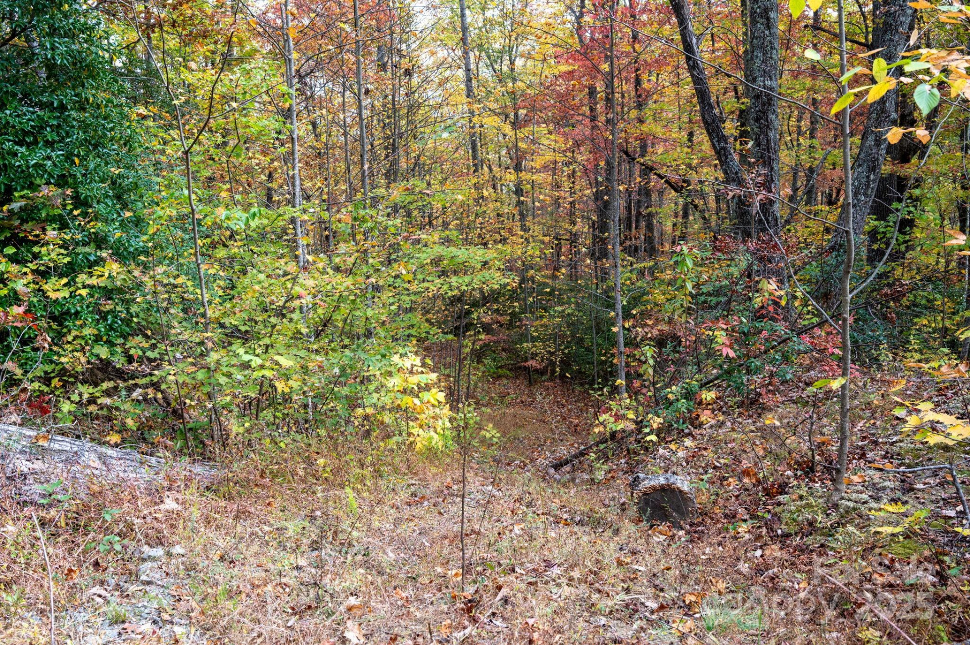 4B LOWER FLAT CREEK Road