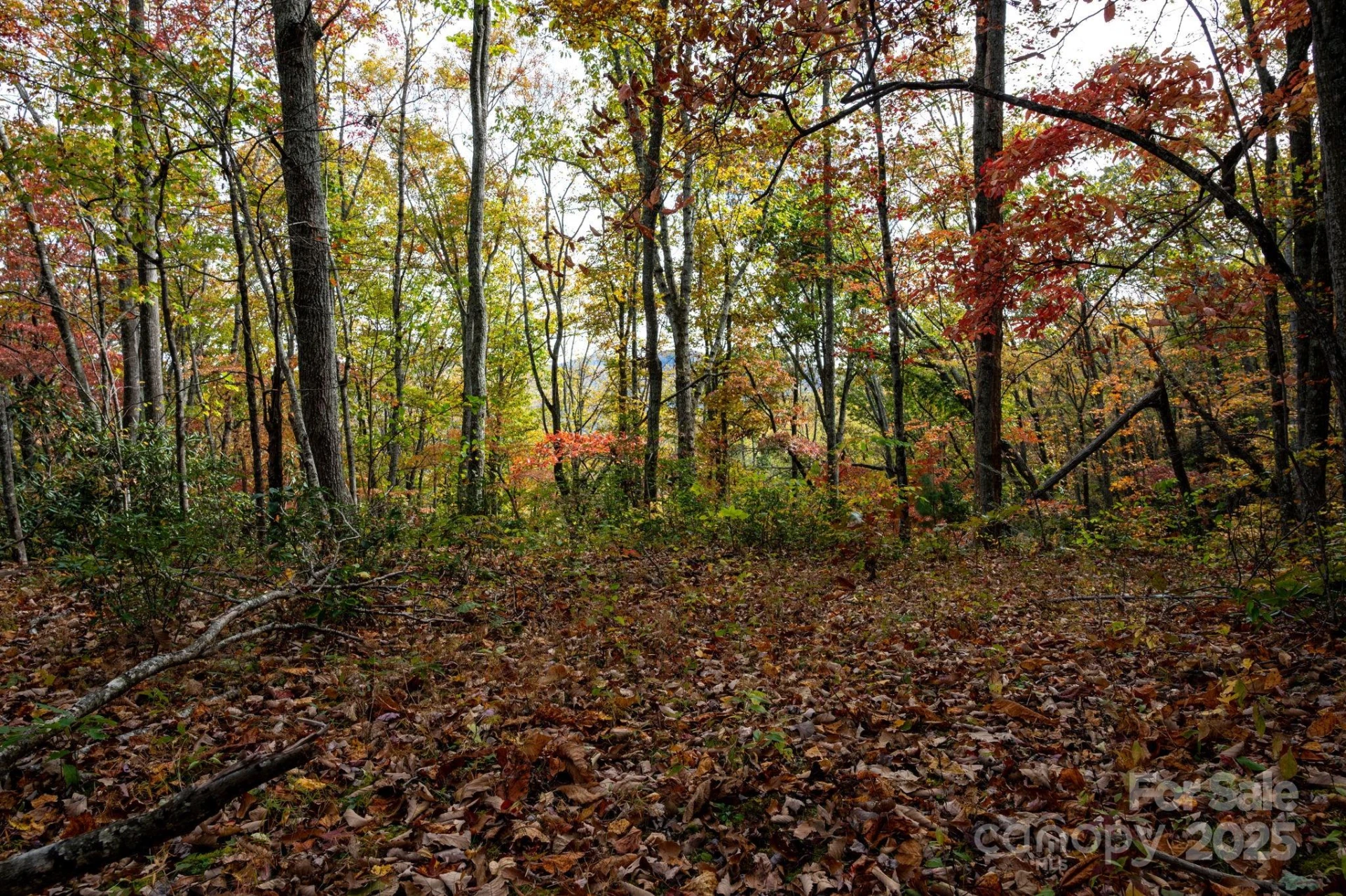 4B LOWER FLAT CREEK Road - Photo 2