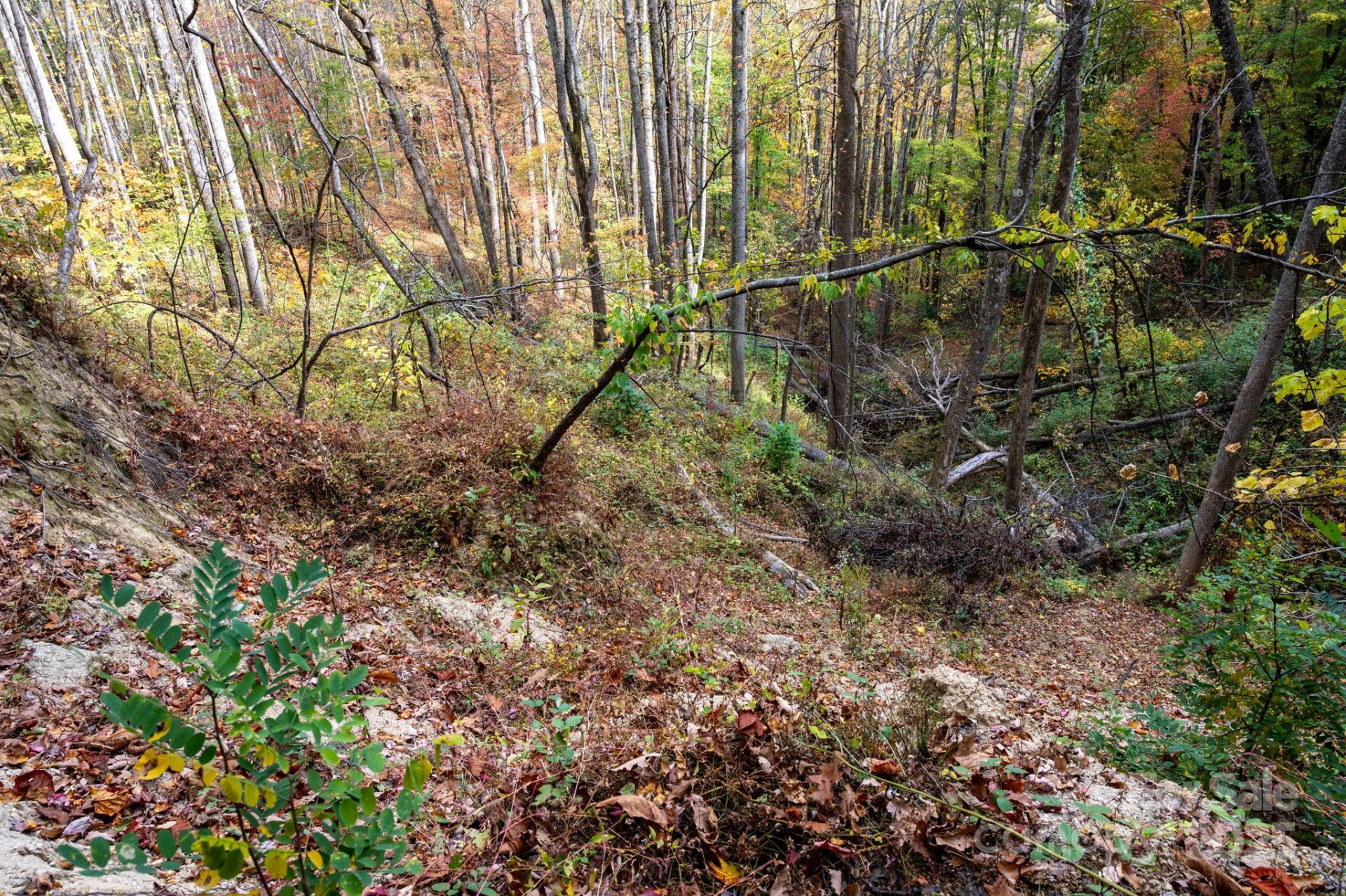 4B LOWER FLAT CREEK Road - Photo 11