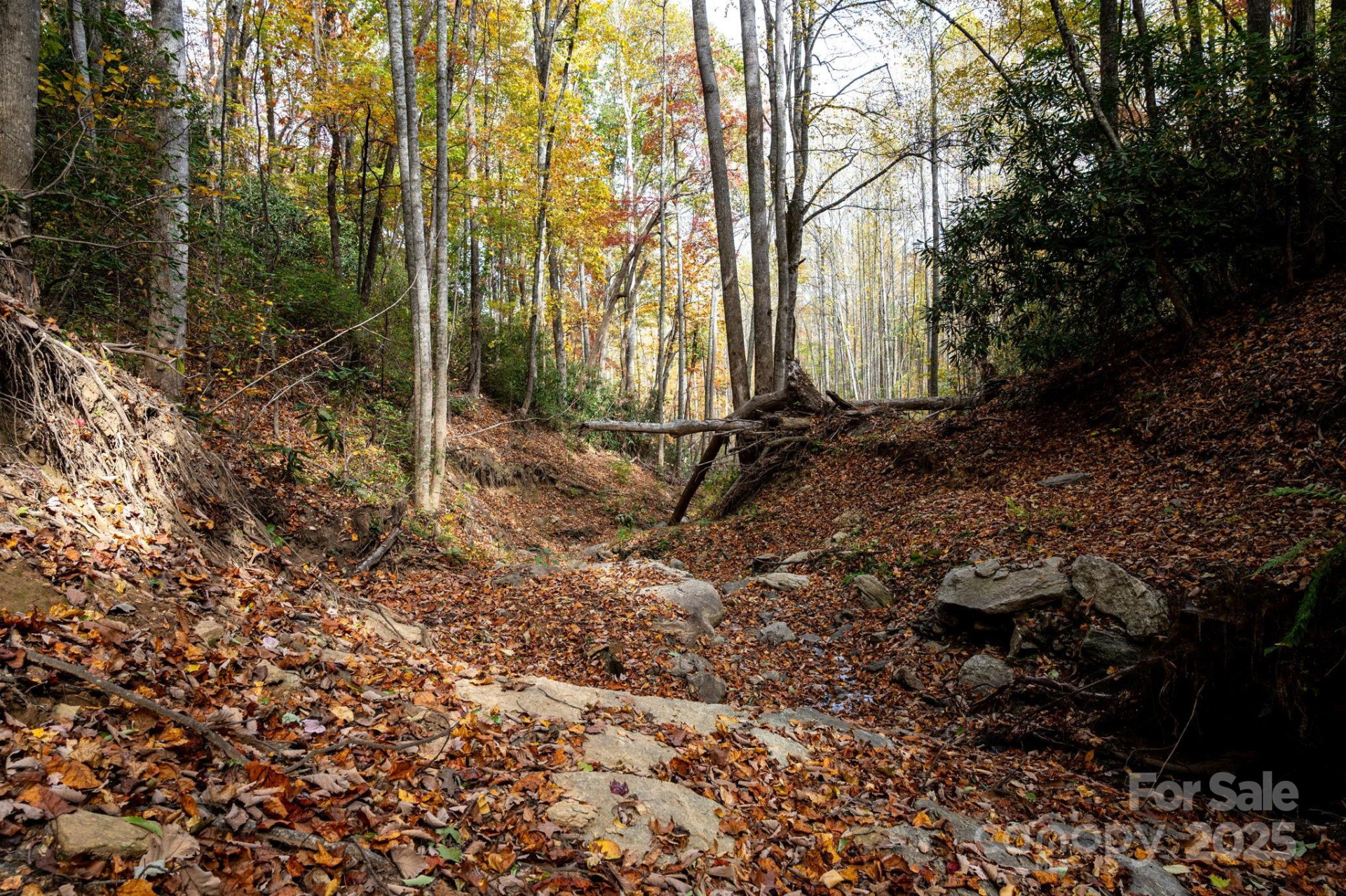 4B LOWER FLAT CREEK Road - Photo 13