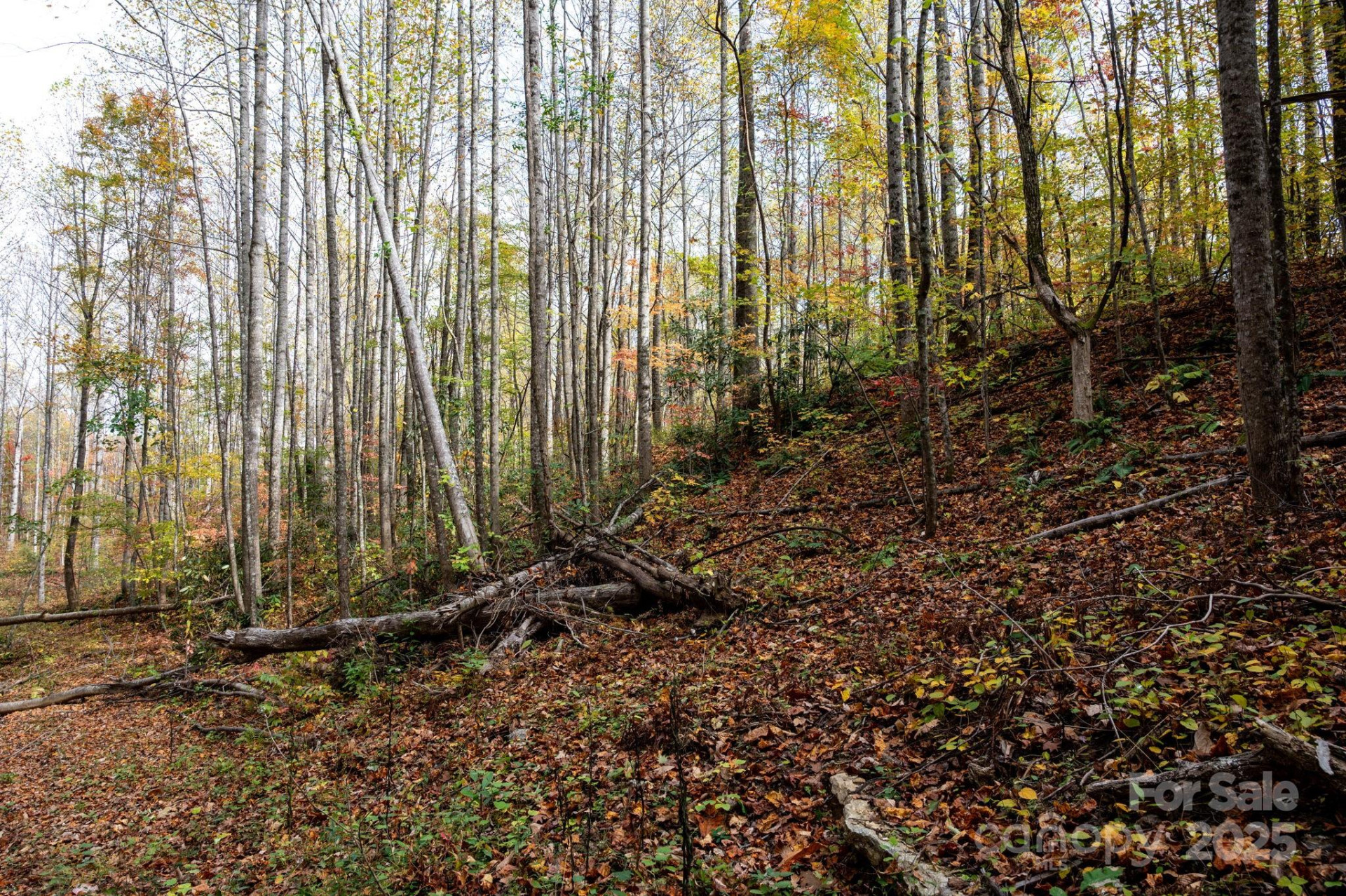 4B LOWER FLAT CREEK Road - Photo 15