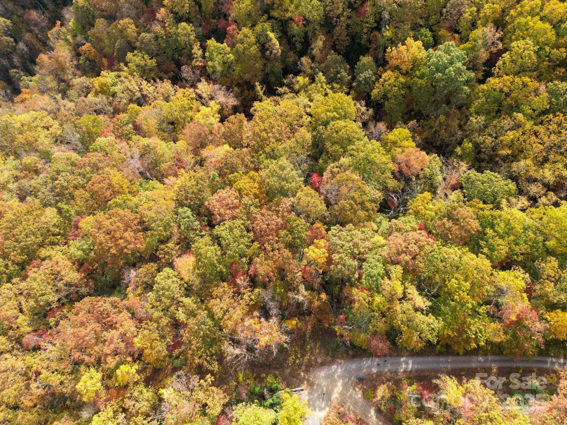 4B LOWER FLAT CREEK Road - Photo 17