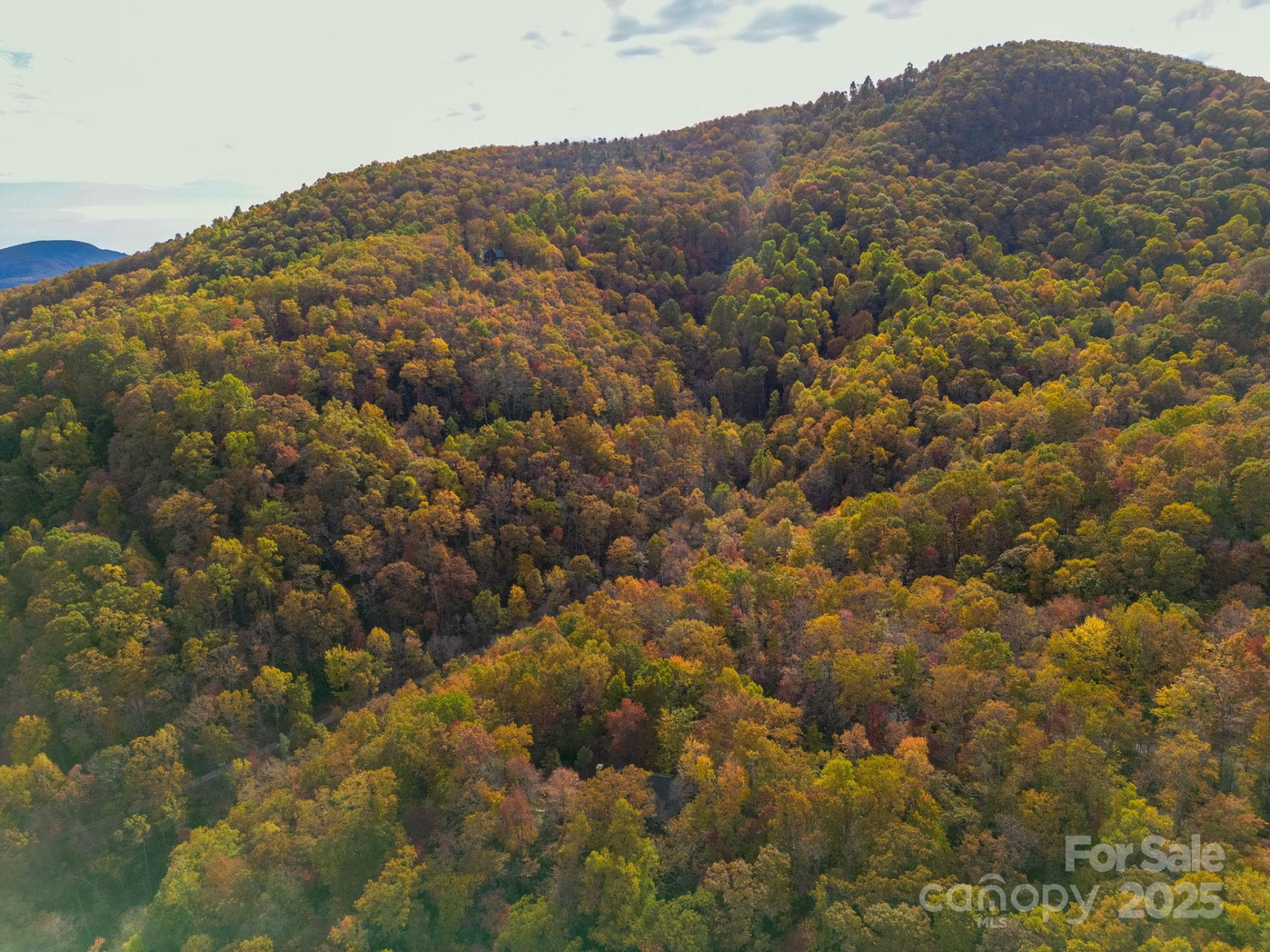 4B LOWER FLAT CREEK Road - Photo 19