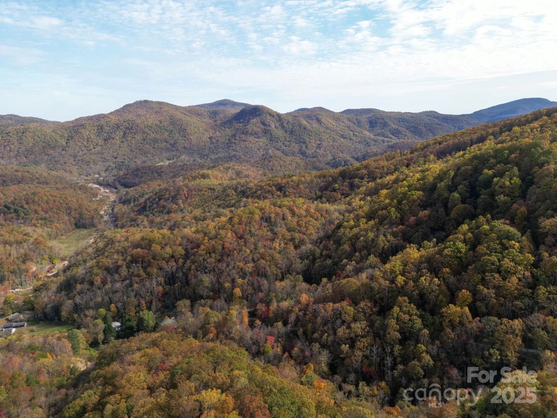 4B LOWER FLAT CREEK Road - Photo 20