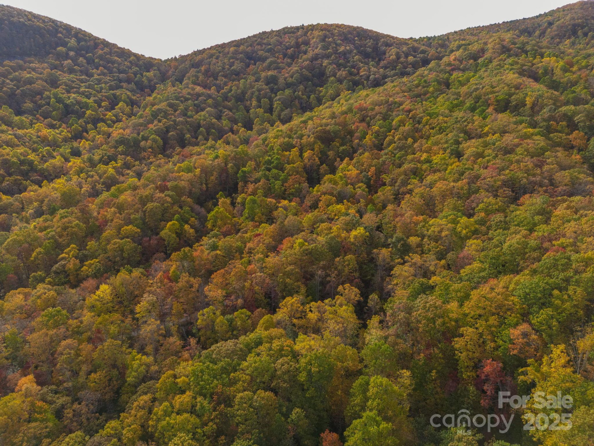 4B LOWER FLAT CREEK Road - Photo 21