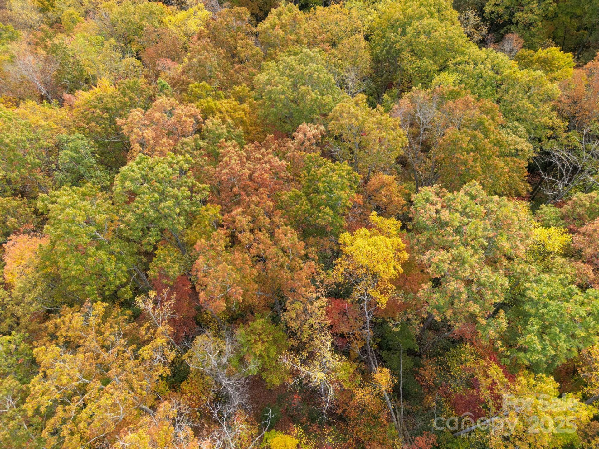 4B LOWER FLAT CREEK Road - Photo 25