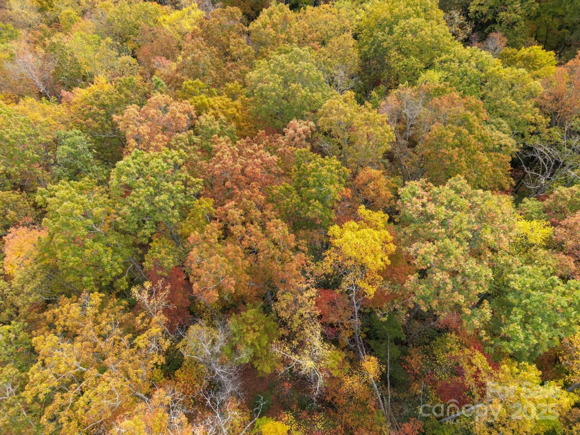 4B LOWER FLAT CREEK Road - Photo 25
