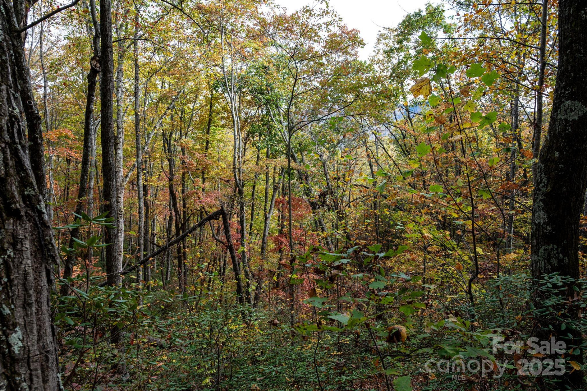 4B LOWER FLAT CREEK Road - Photo 4