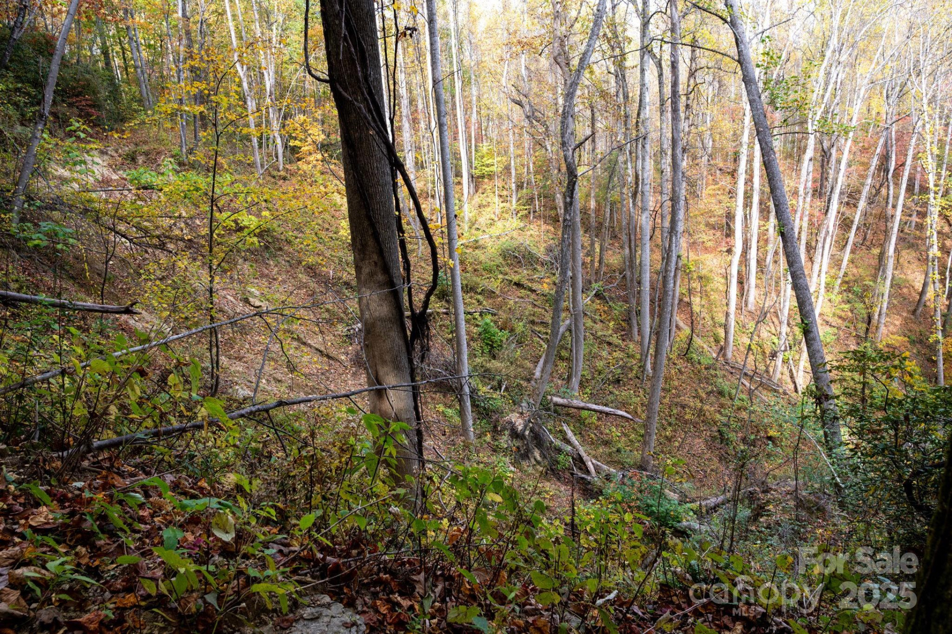 4B LOWER FLAT CREEK Road - Photo 7