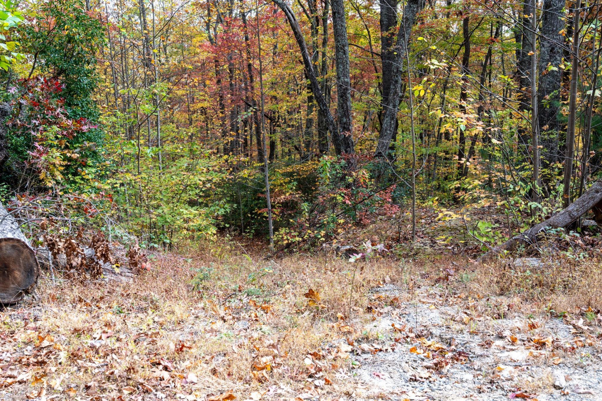 4B LOWER FLAT CREEK Road - Photo 8