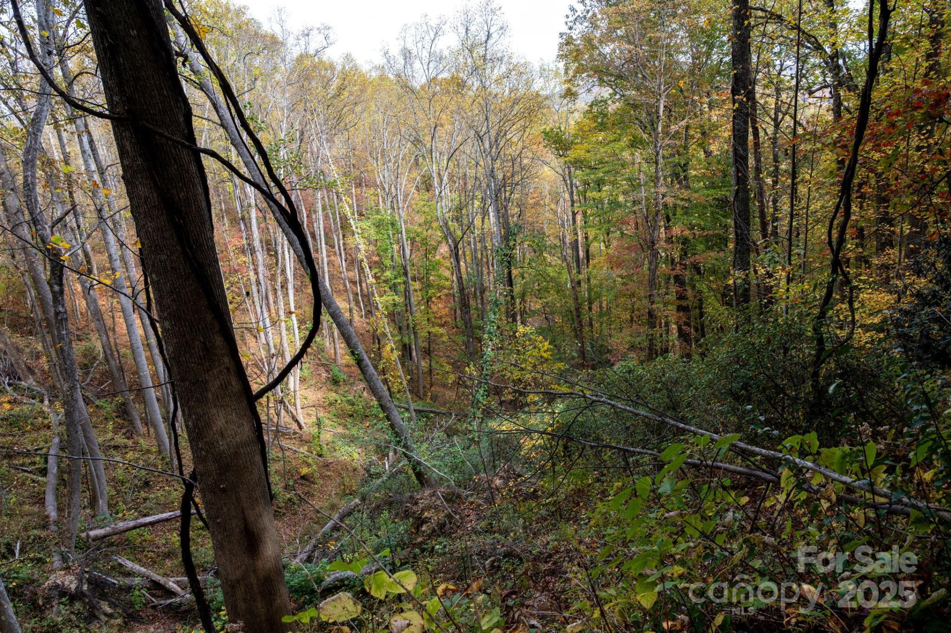 4B LOWER FLAT CREEK Road - Photo 10