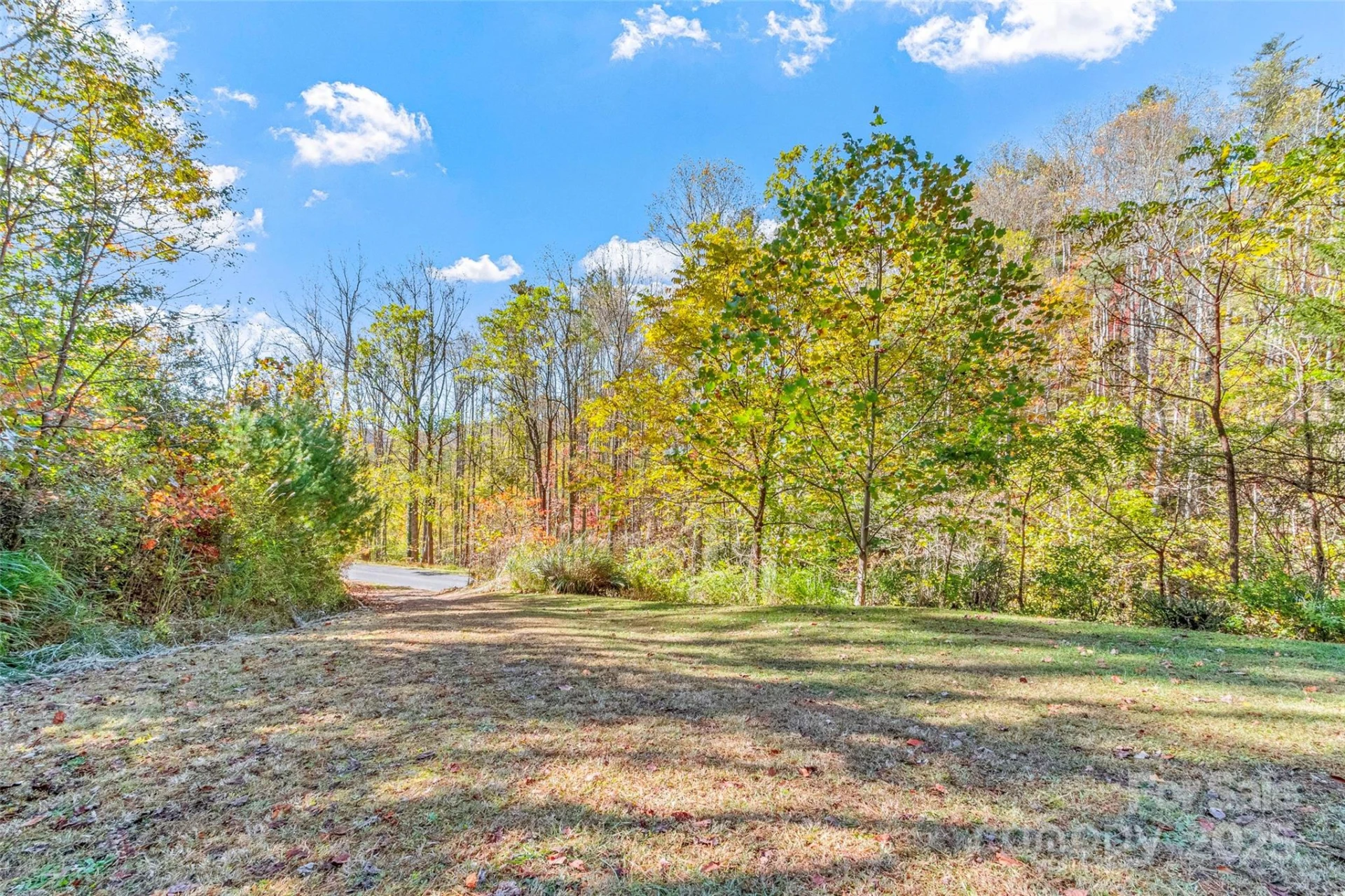96 Thompson Road - Photo 2