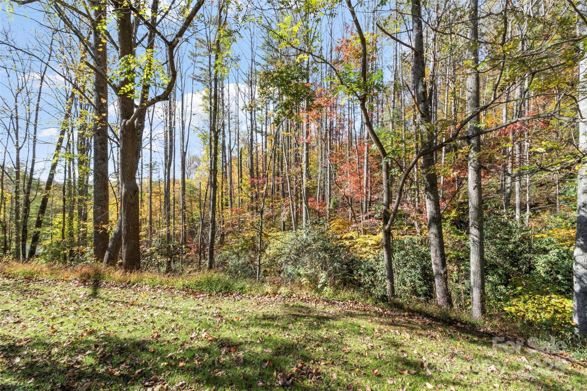 96 Thompson Road - Photo 3