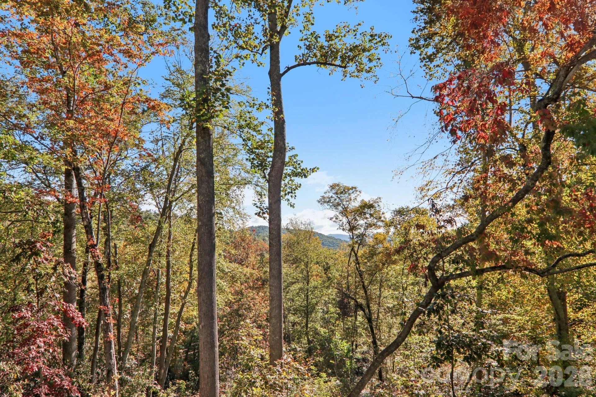 1367 Old Mill Road - Photo 8