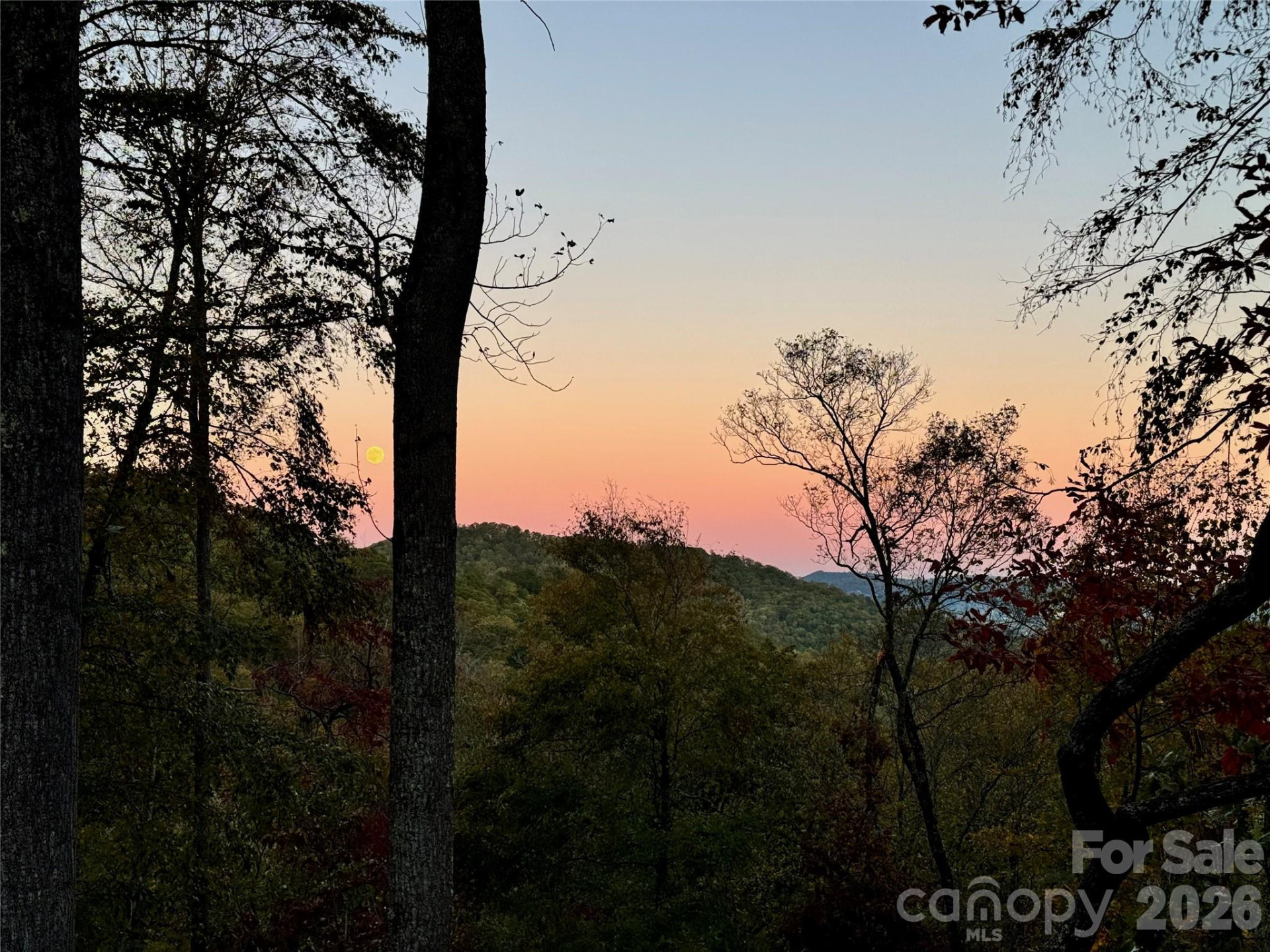 1367 Old Mill Road - Photo 9