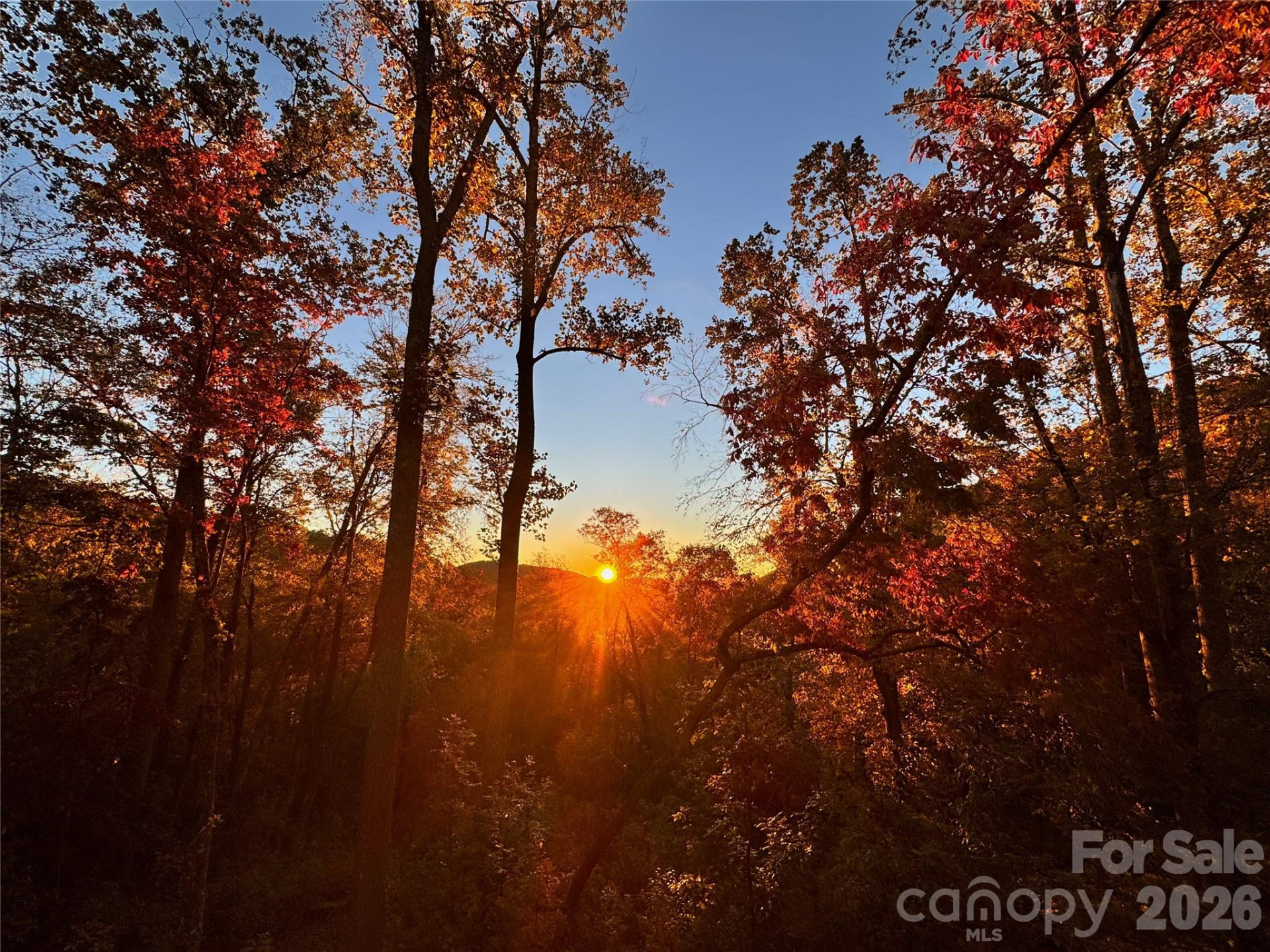 1367 Old Mill Road - Photo 10