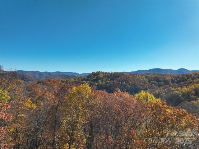 890 Panther Branch Road, Hot Springs, NC, 28743