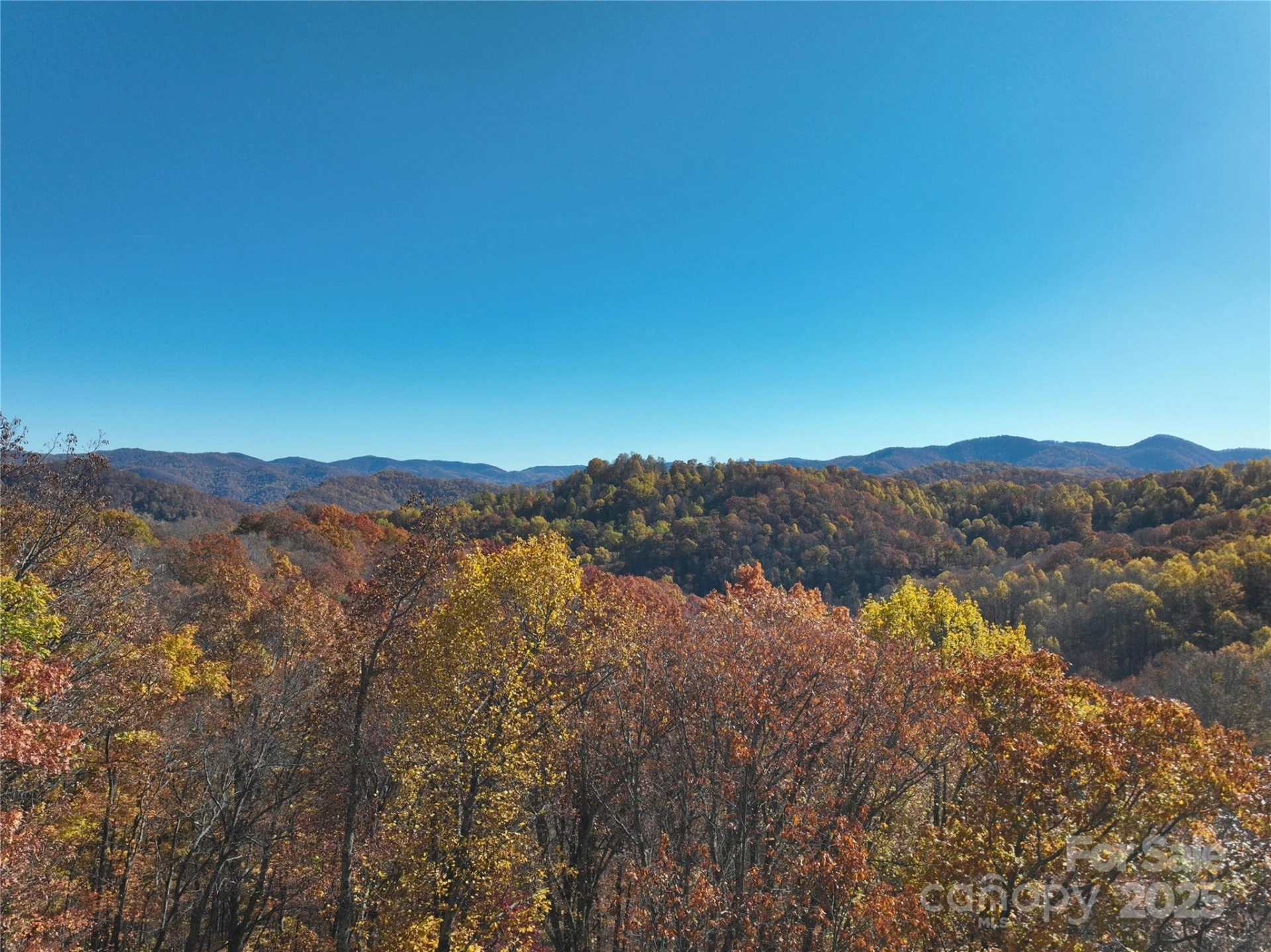 890 Panther Branch Road