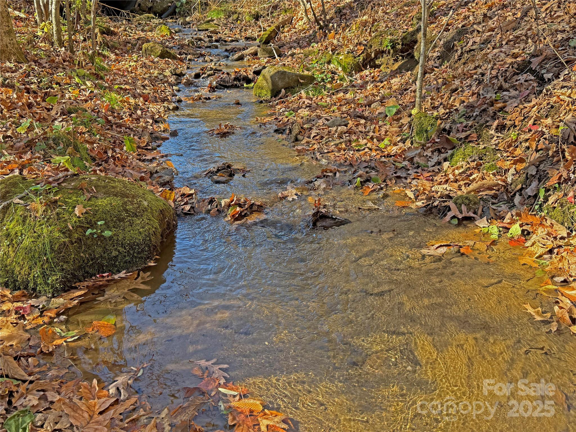 890 Panther Branch Road - Photo 2