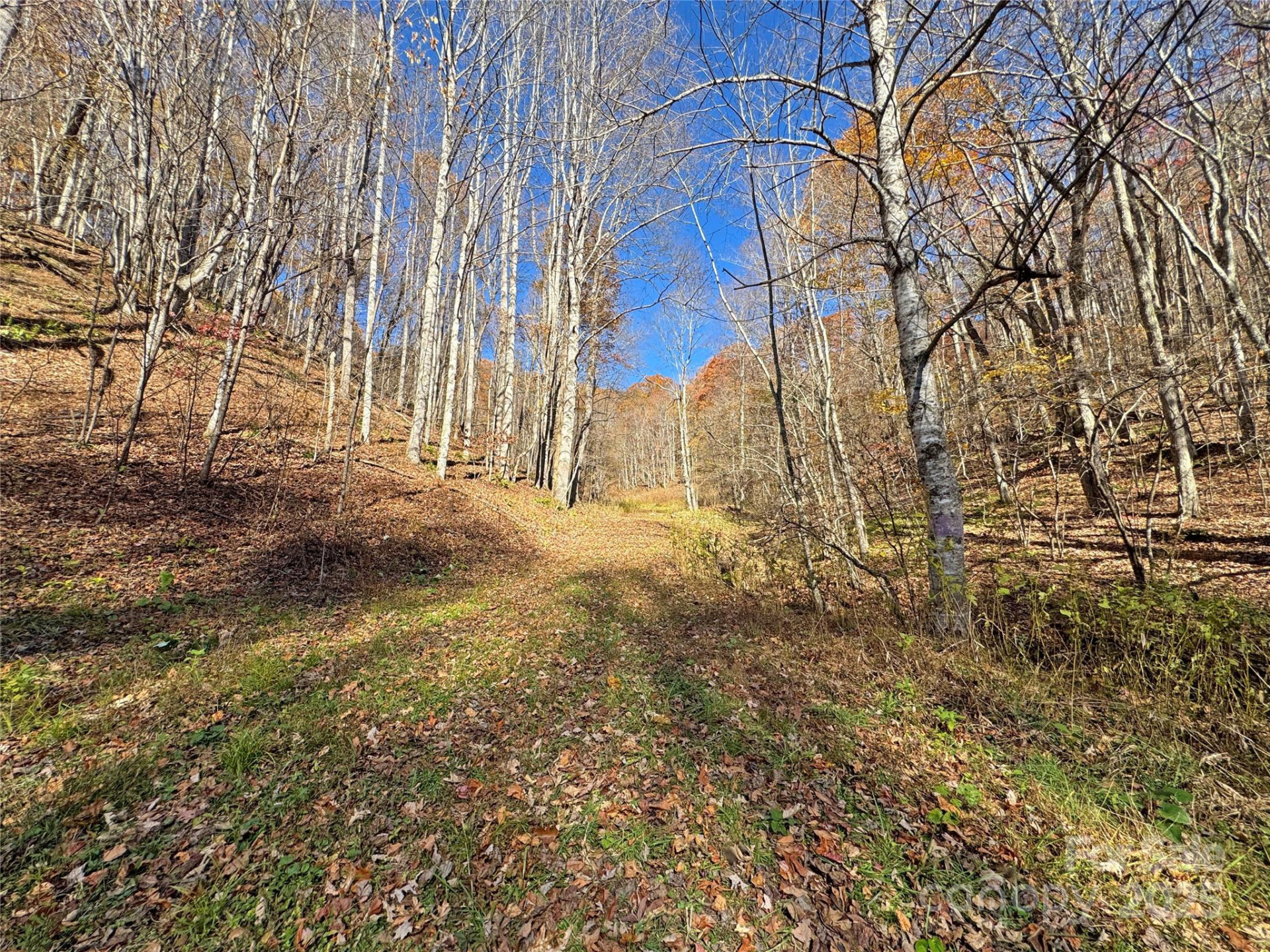 890 Panther Branch Road - Photo 11