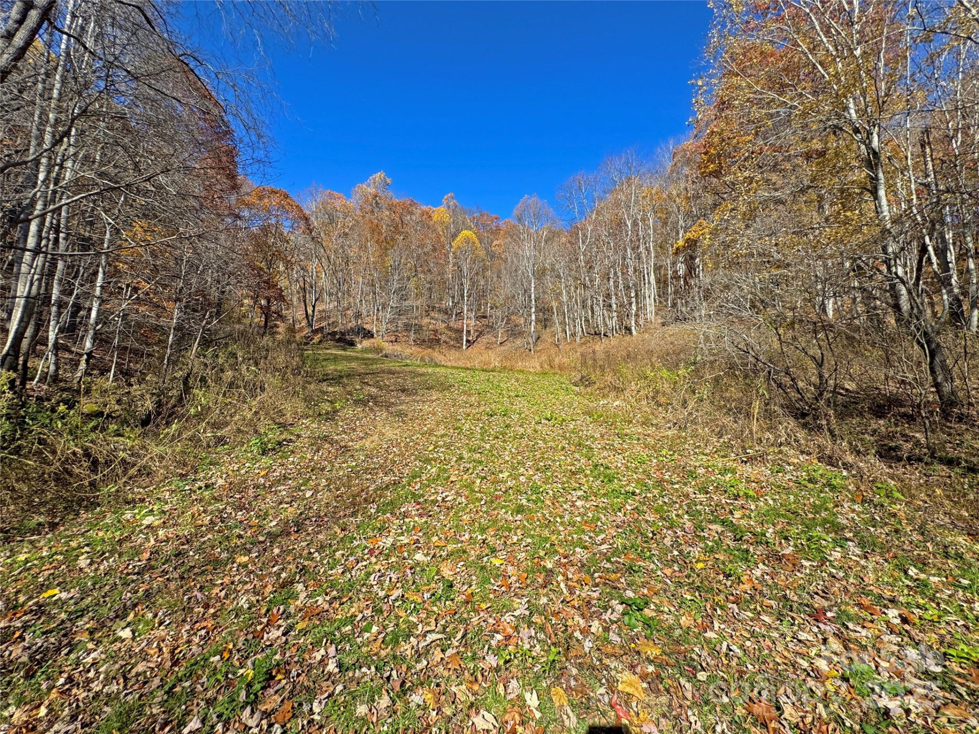 890 Panther Branch Road - Photo 12